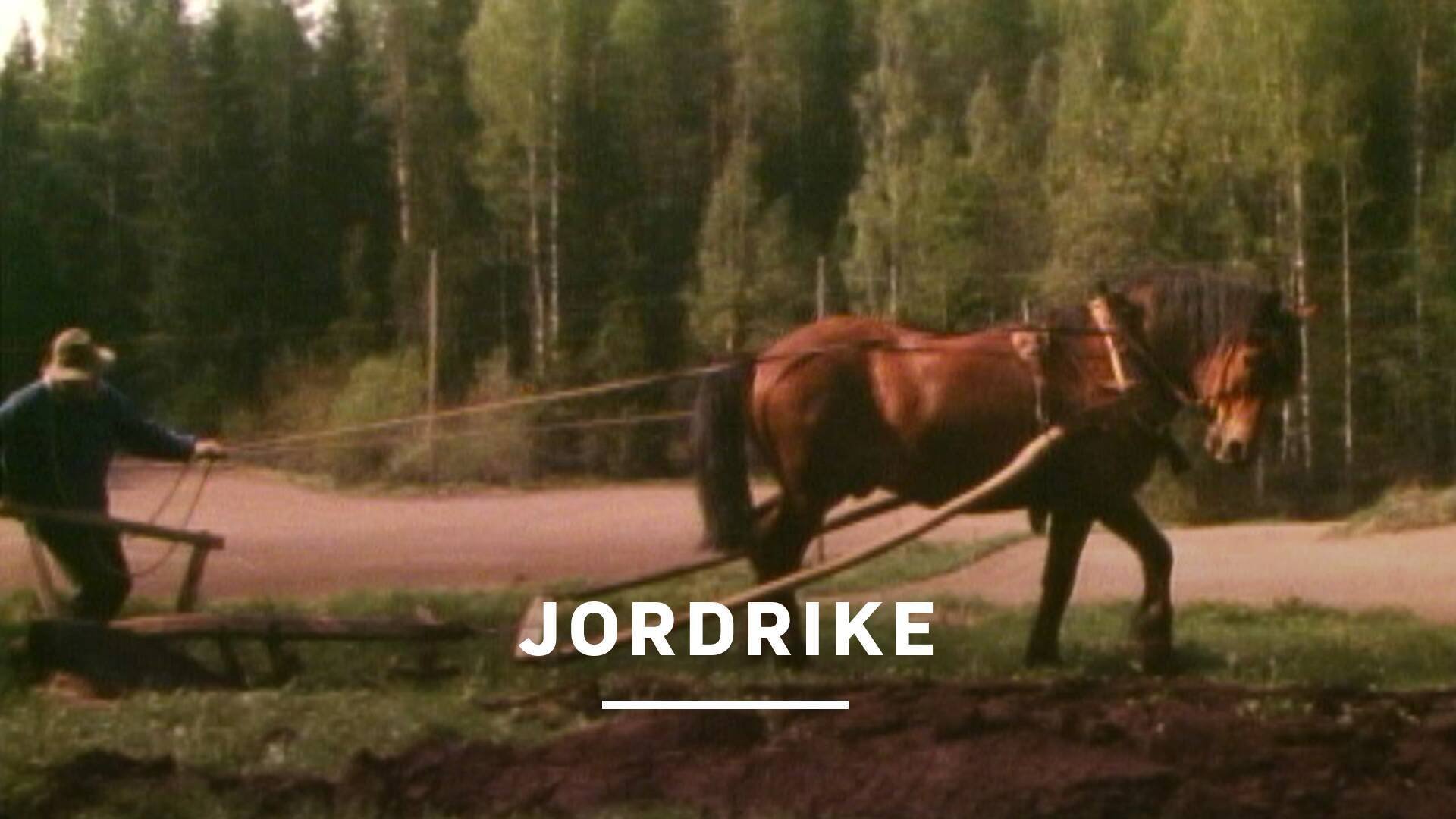 Jordrike
