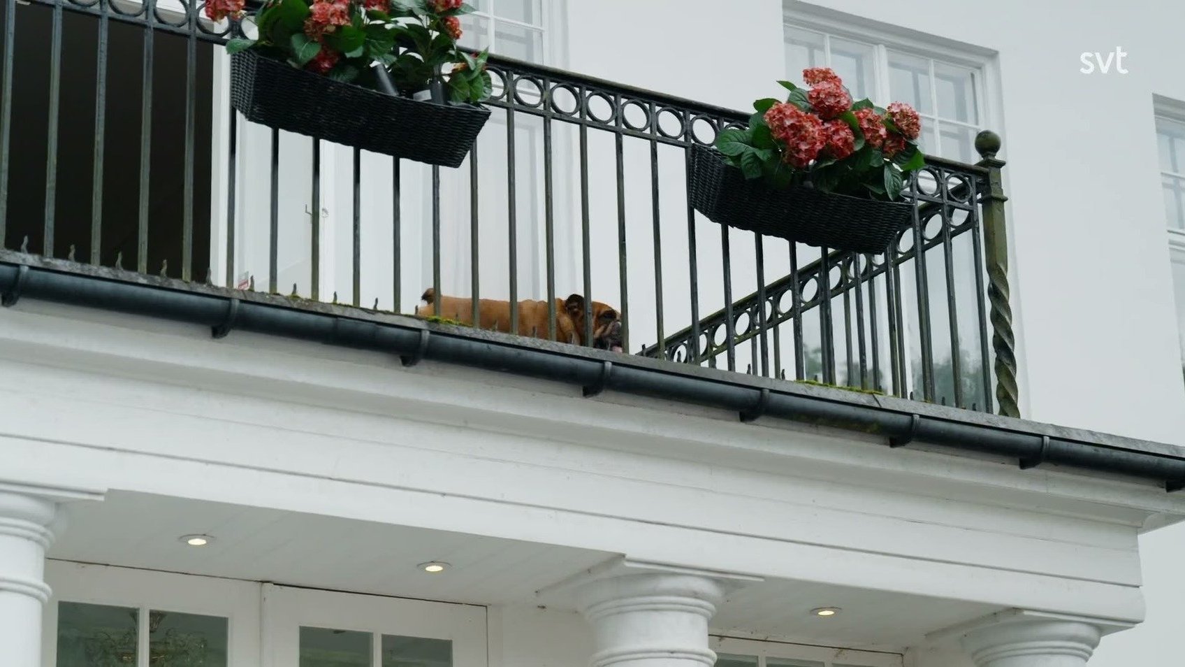 2. Anders Bagges fest