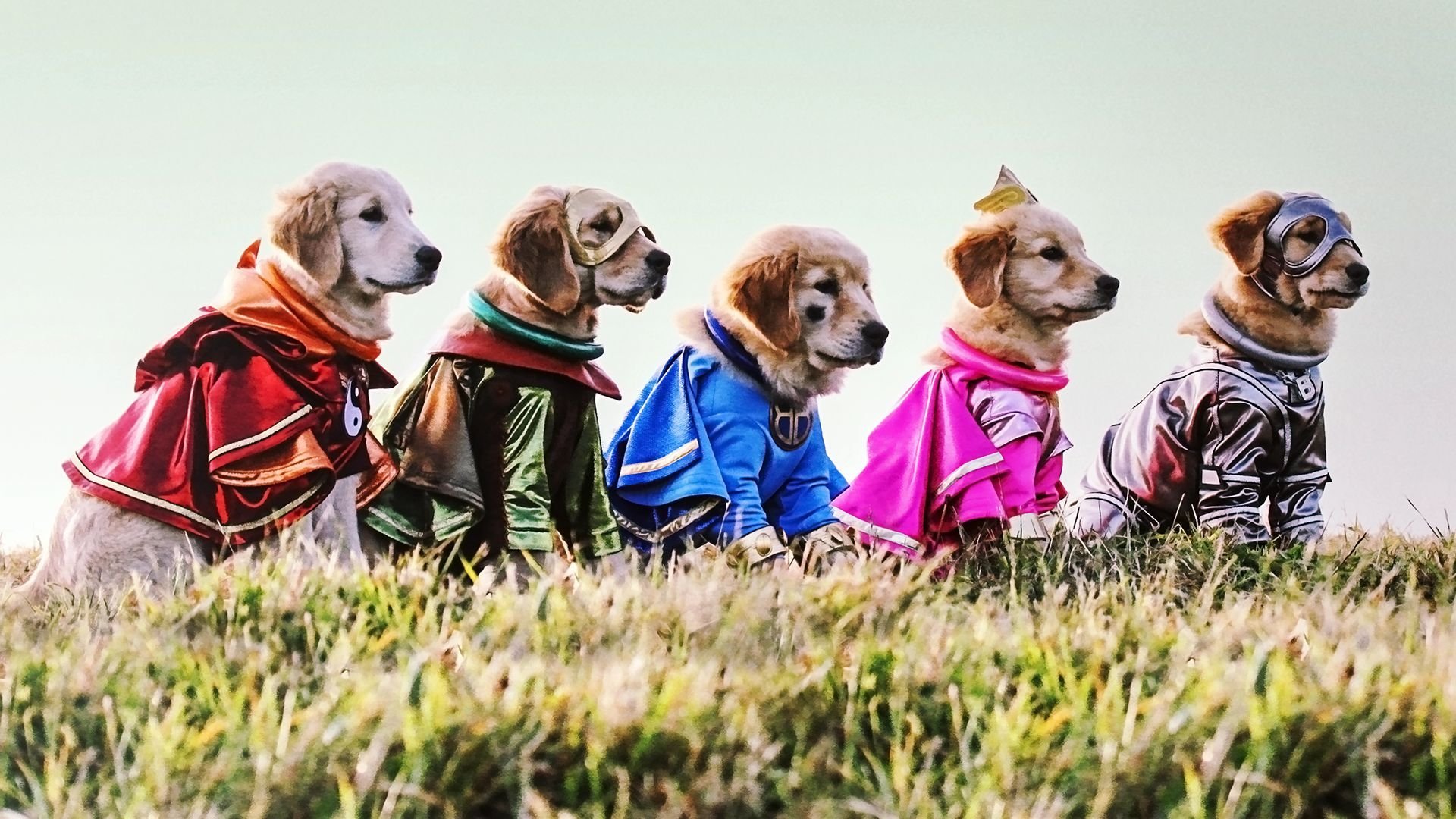 Super Buddies