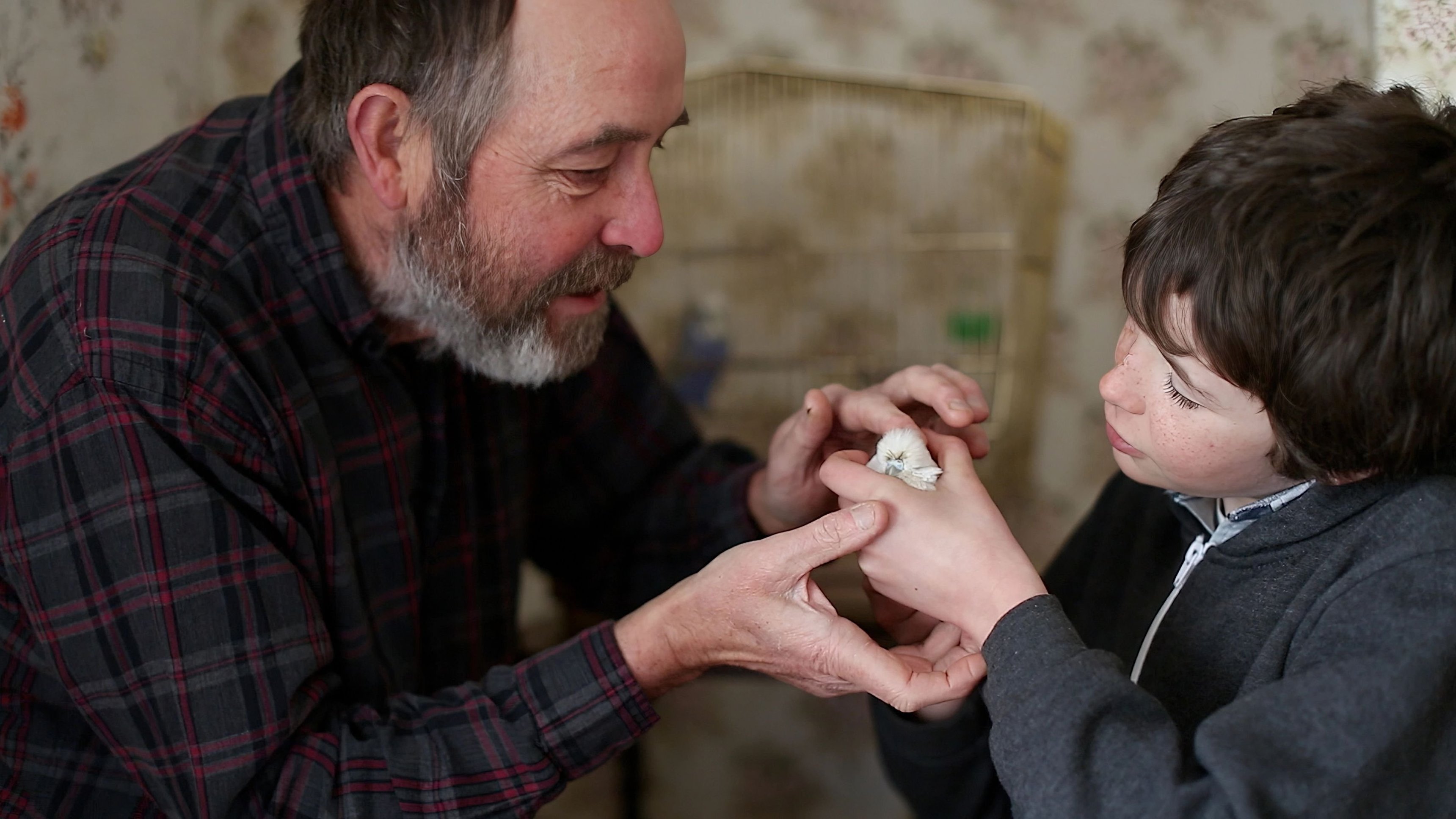 The Raven On The Jetty