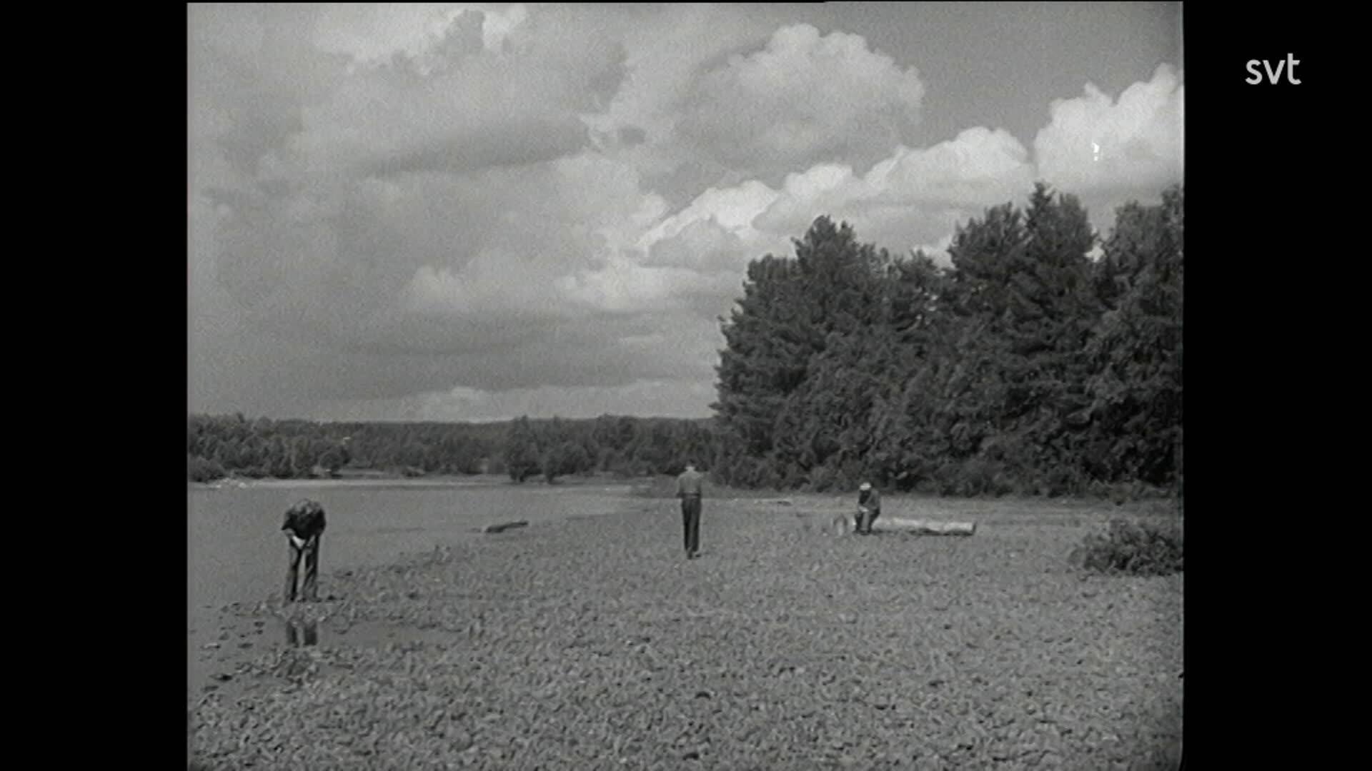1. Porfyrverket i Älvdalen 1938