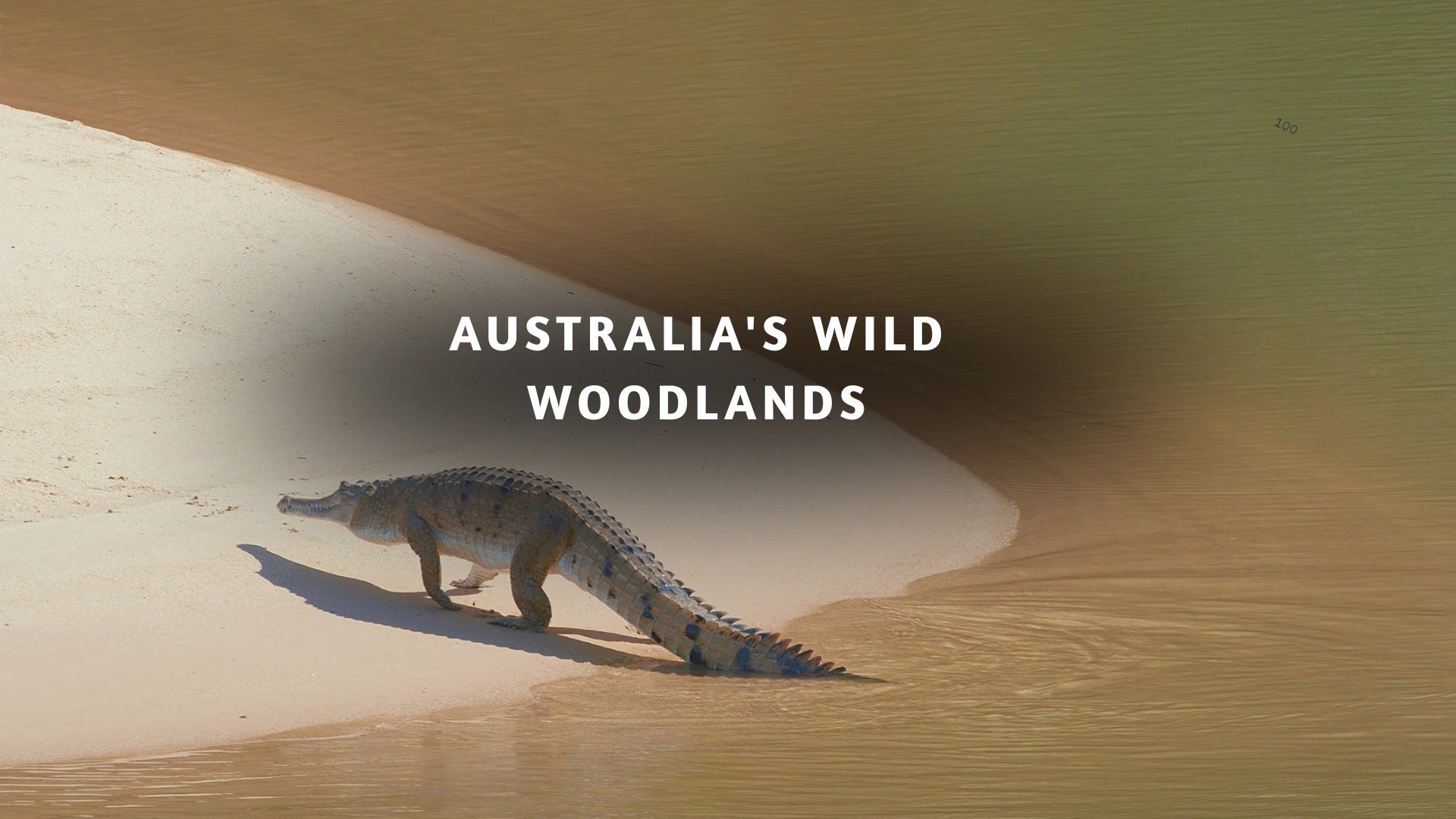 Australia's Wild Woodlands