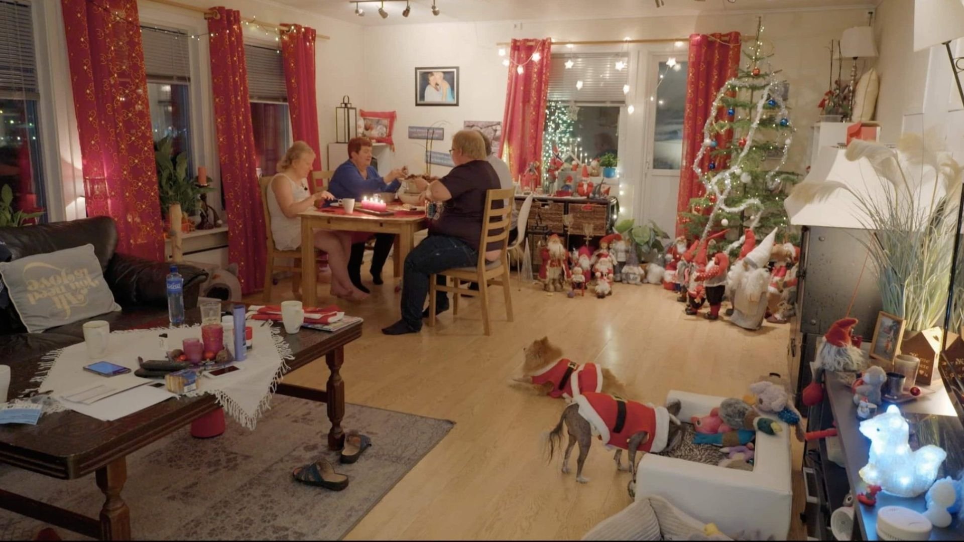 5. Dopade måsar och julfrid