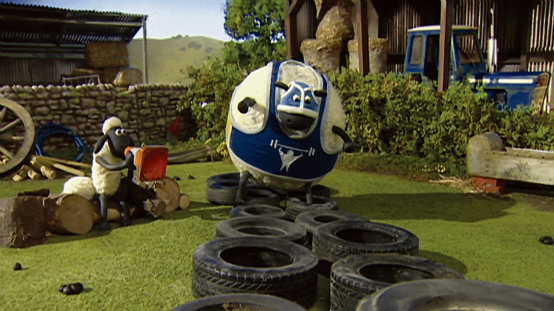 7. Shape Up With Shaun