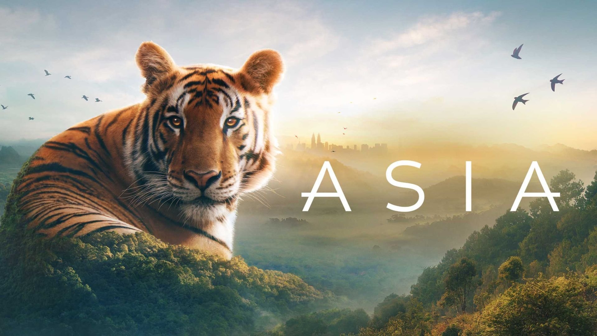 Asia