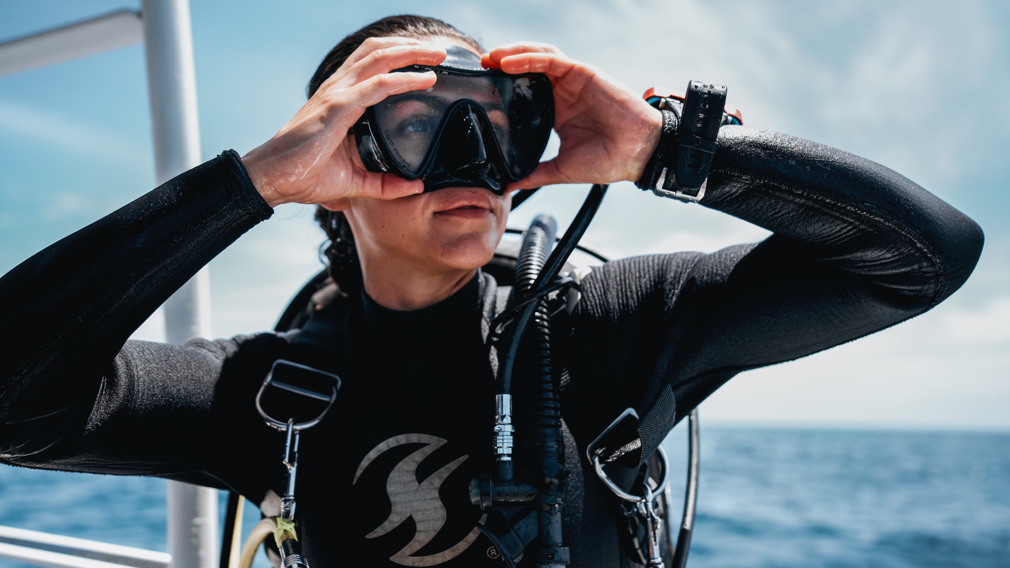 2. Det vilda i väster