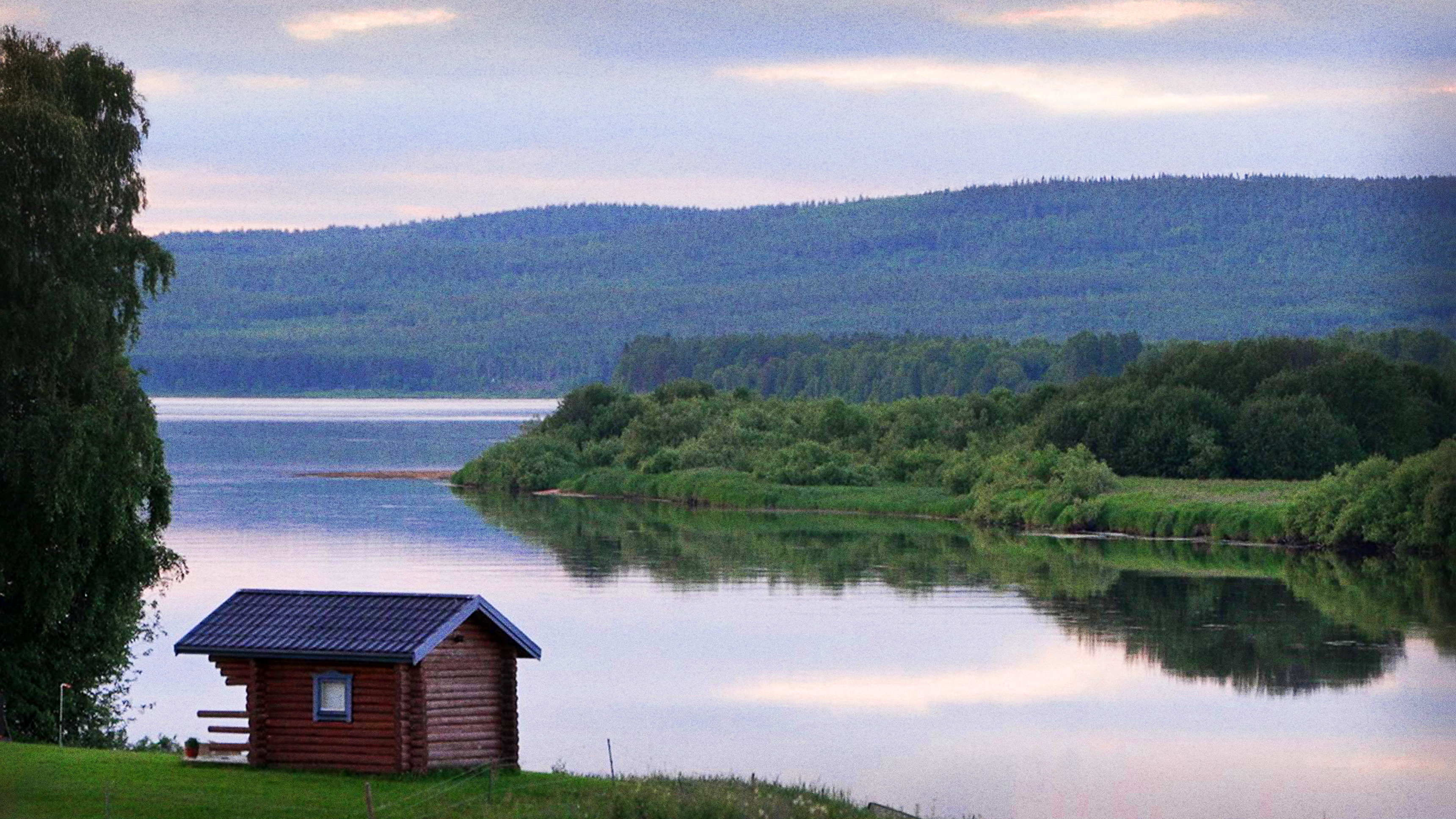 Vi som valde att stanna