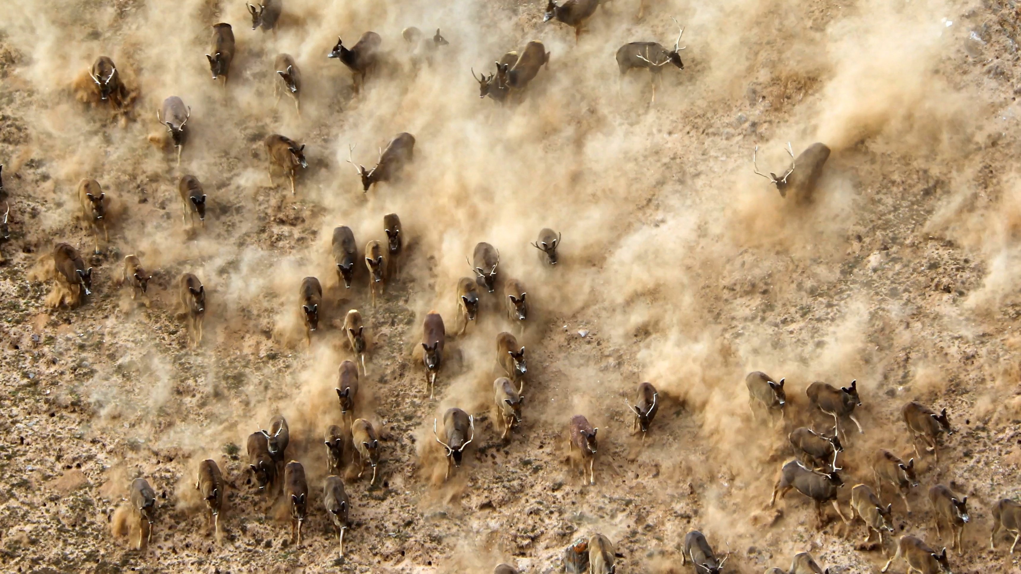 Kinas vilda hemligheter