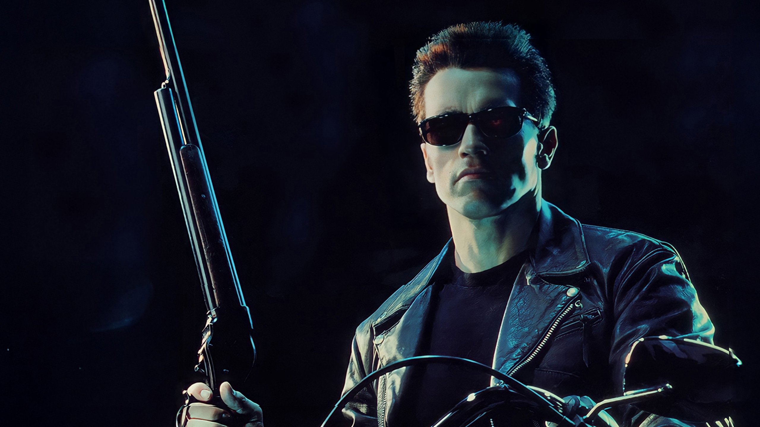 Terminator 2 - Domedagen