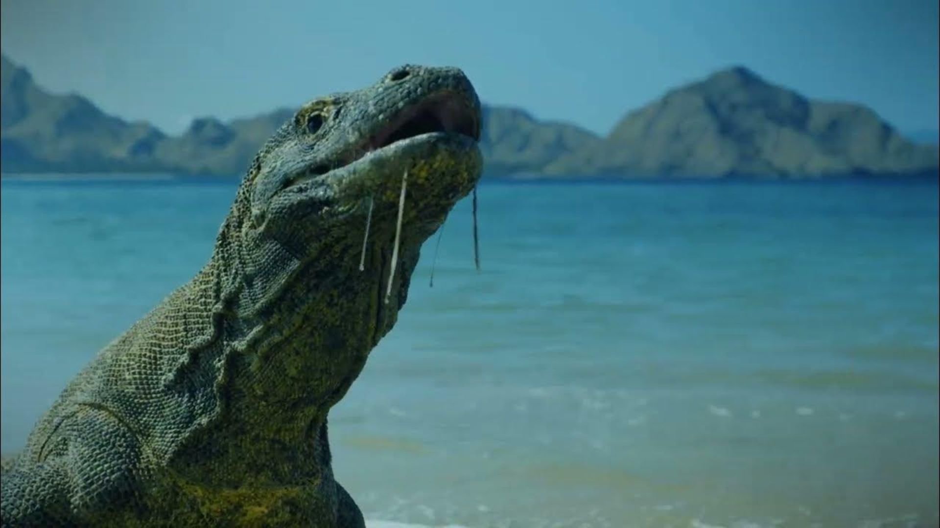 House Of The Reptiles
