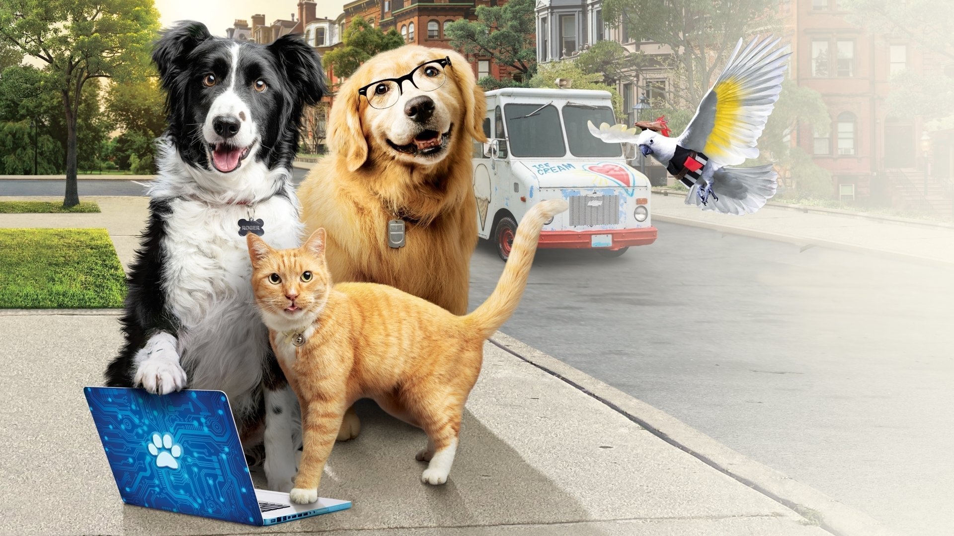 Som hund och katt: Nu tassar vi igen