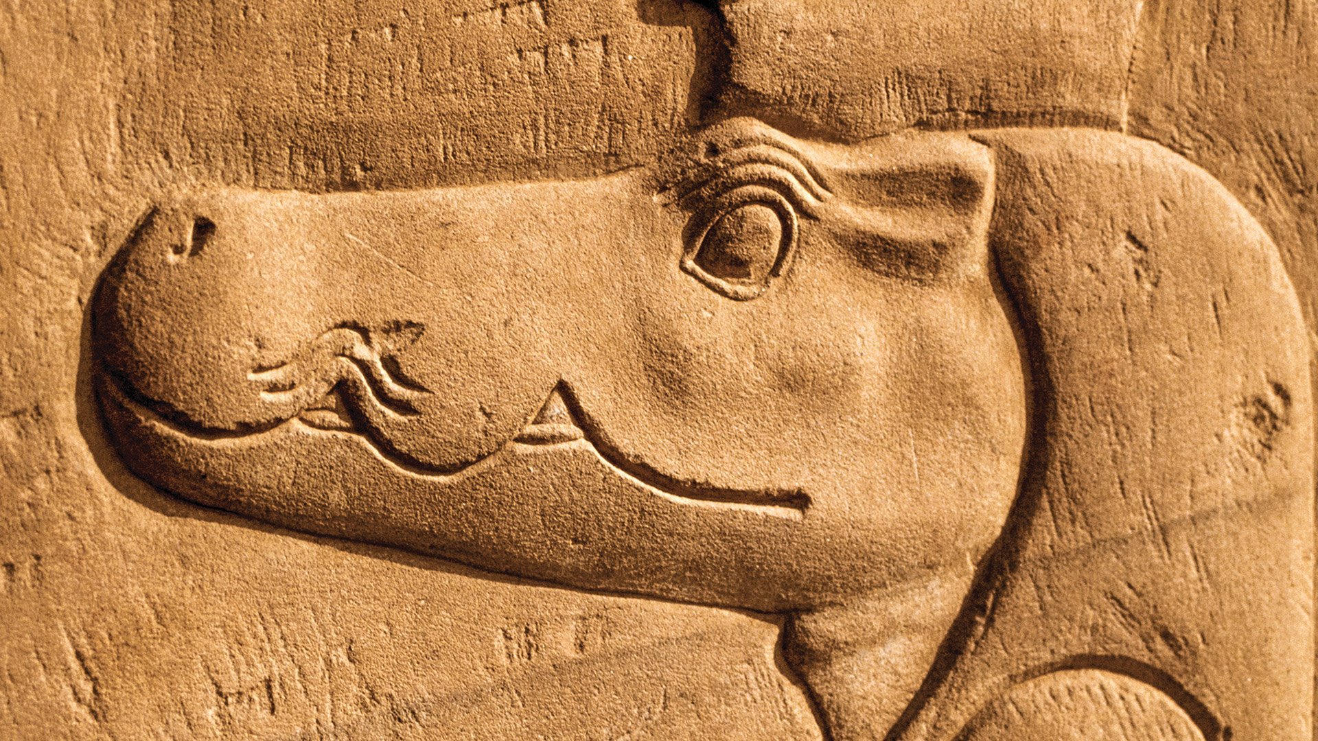 2. Secrets in the Sand
