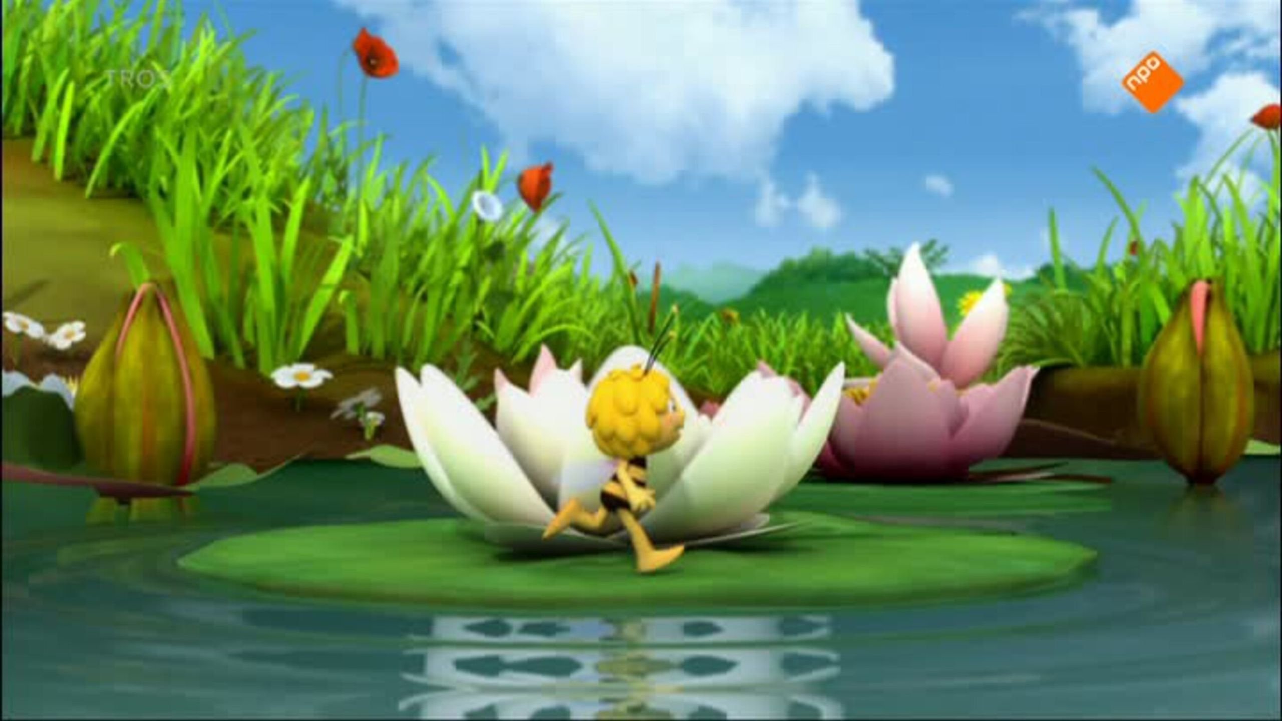 62. Maya The Bee S01 E062