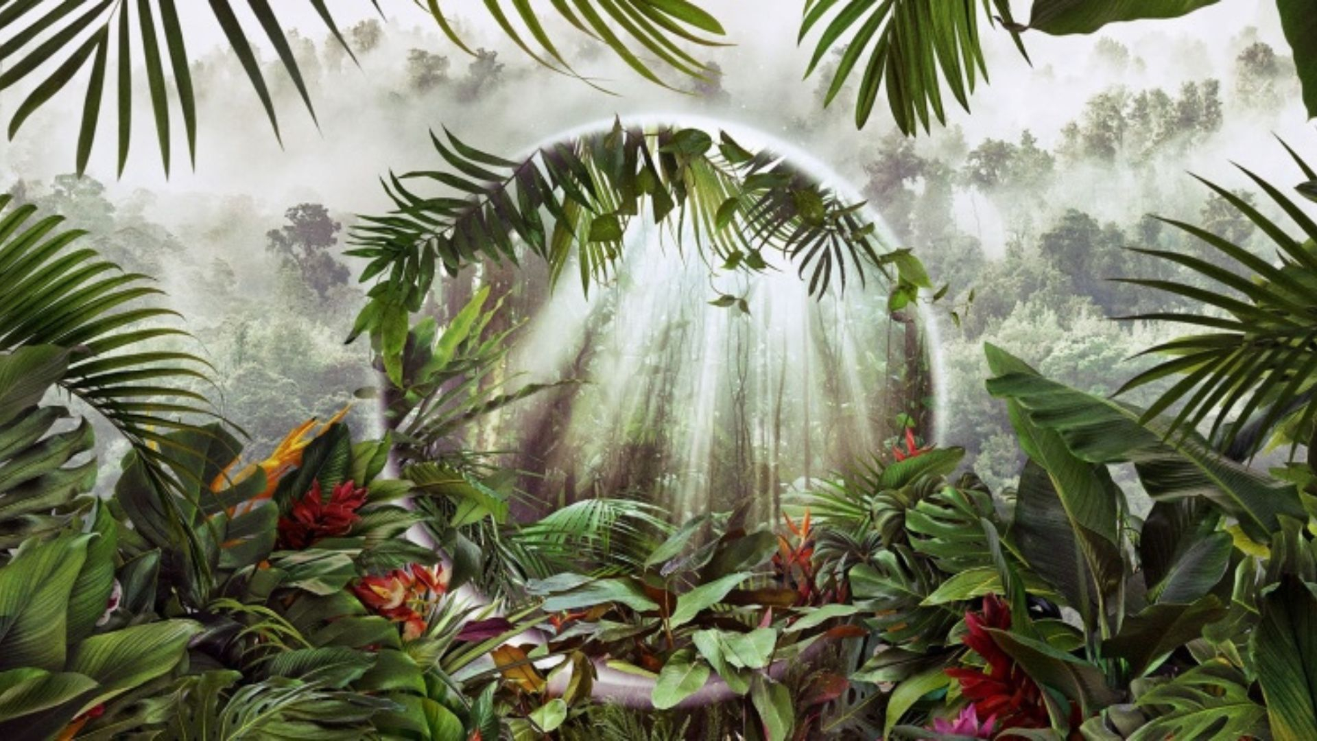 Världens natur: Green planet