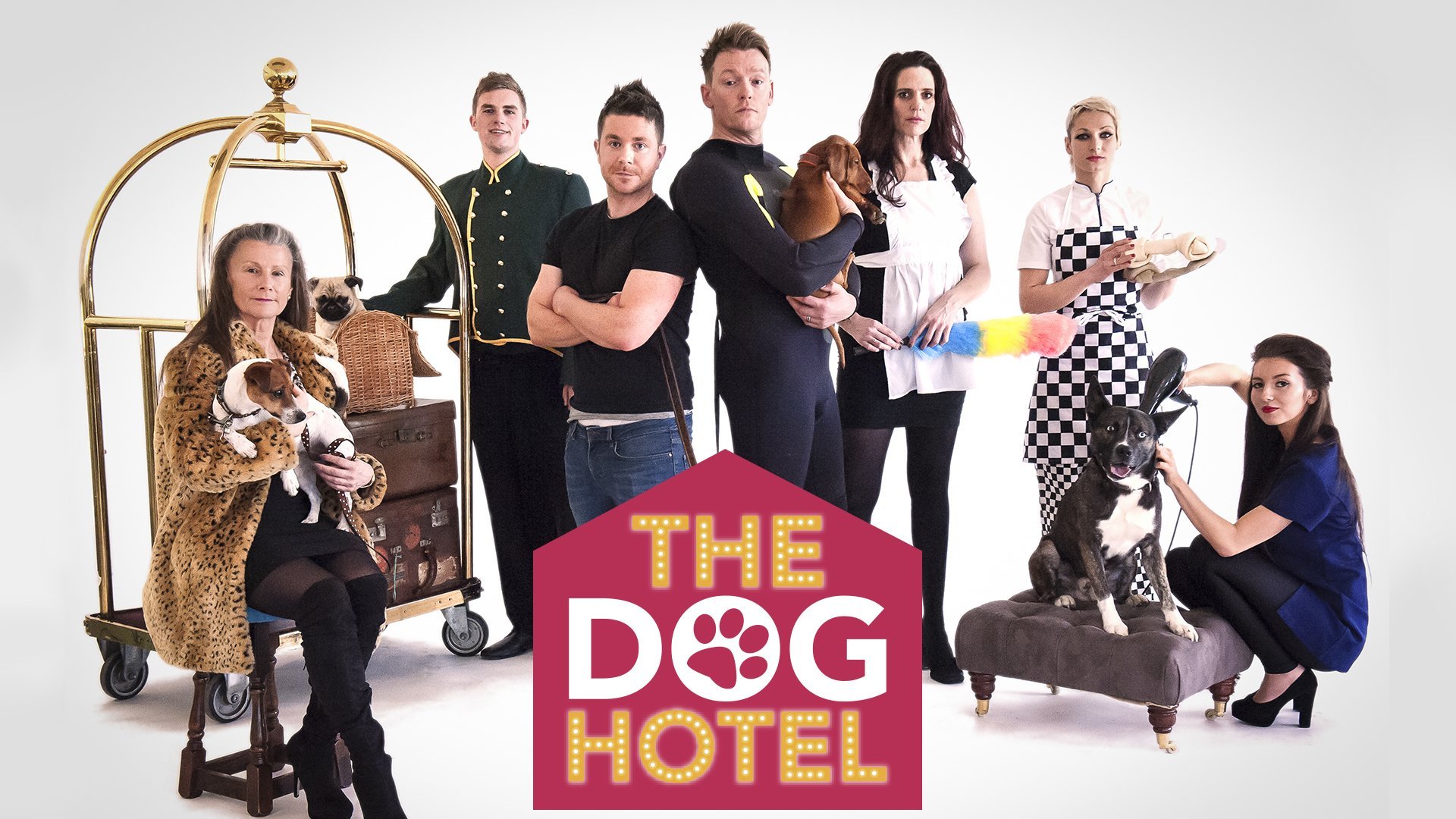 The Dog Hotel
