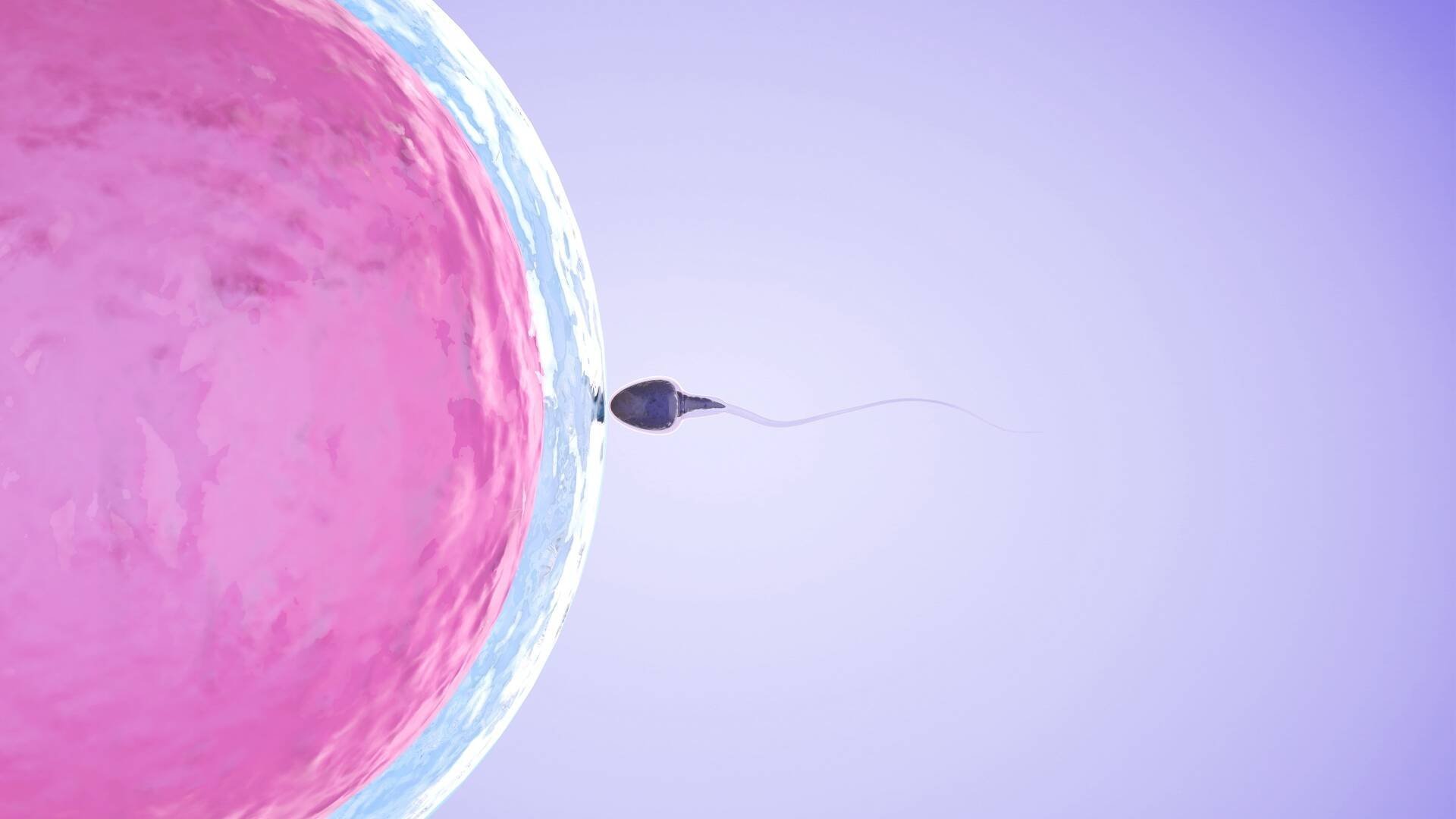 Jakten på en dotter