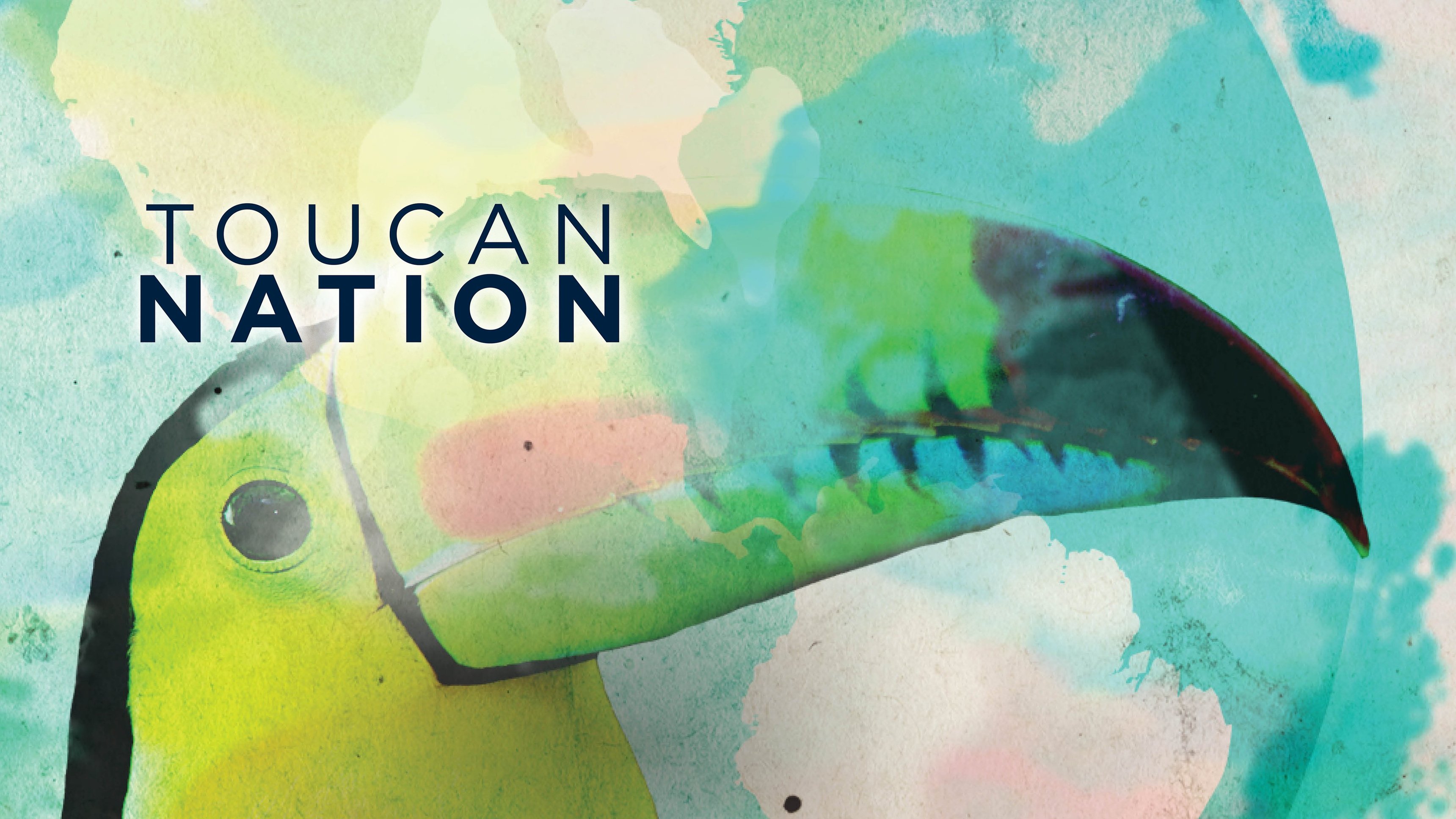 Toucan Nation