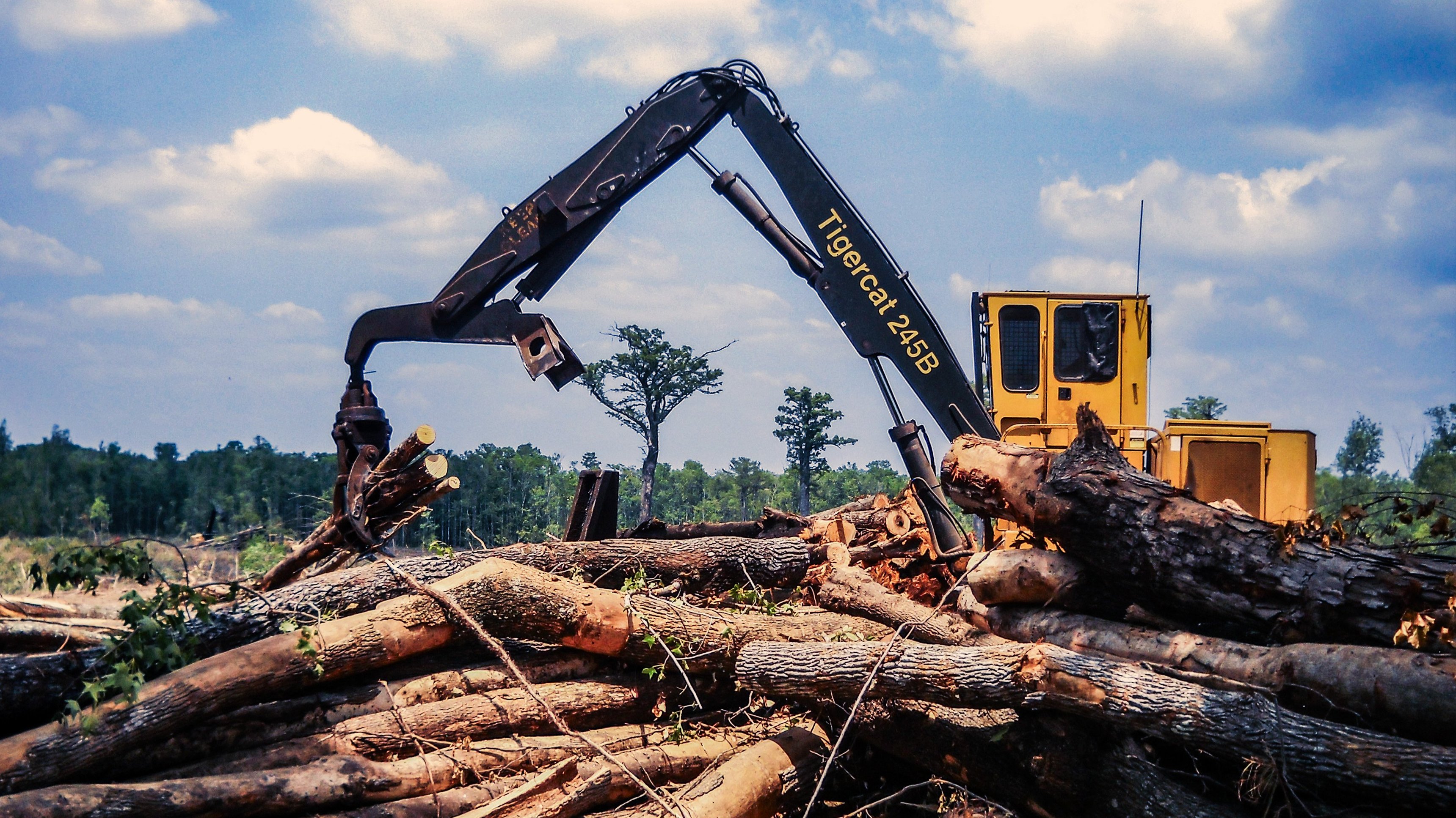 Swamp Loggers