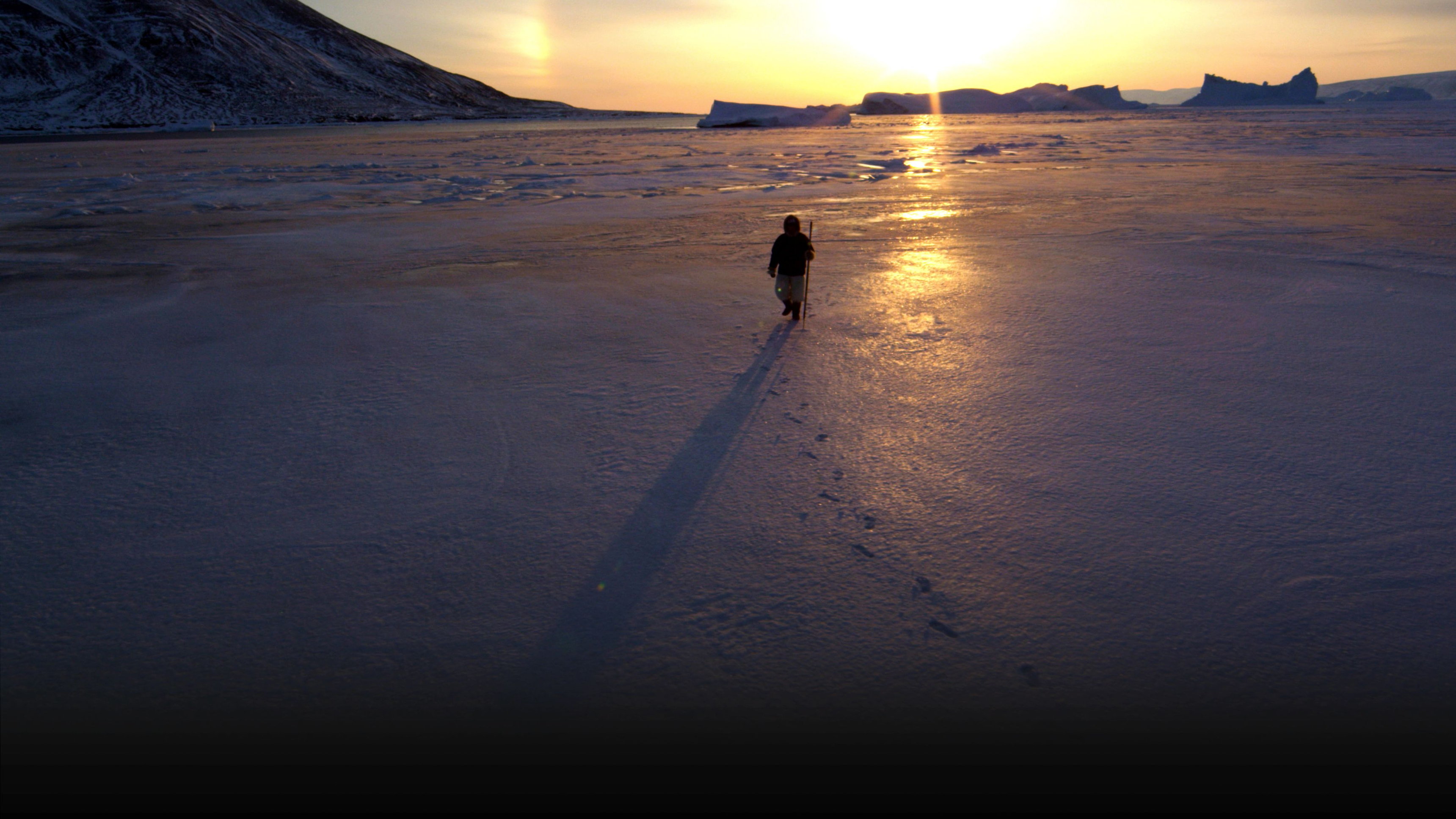 The Last Ice