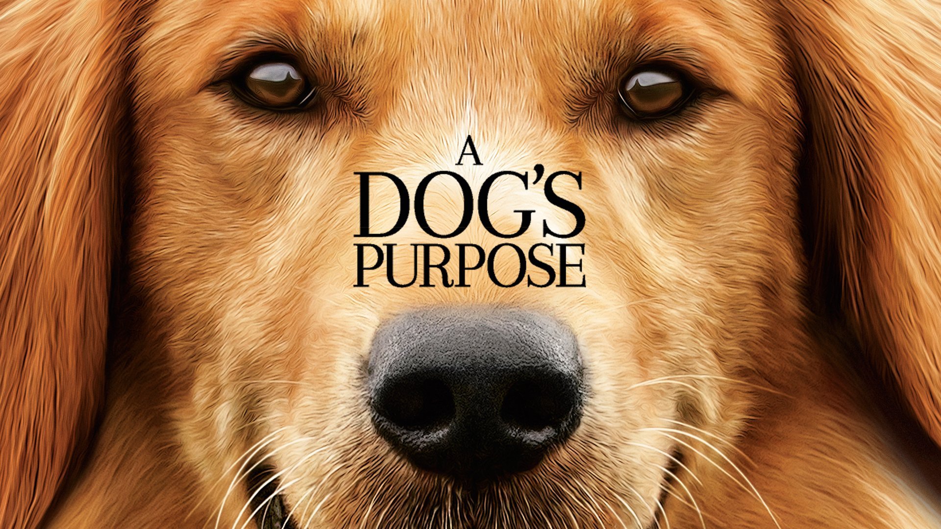 A Dog's Purpose