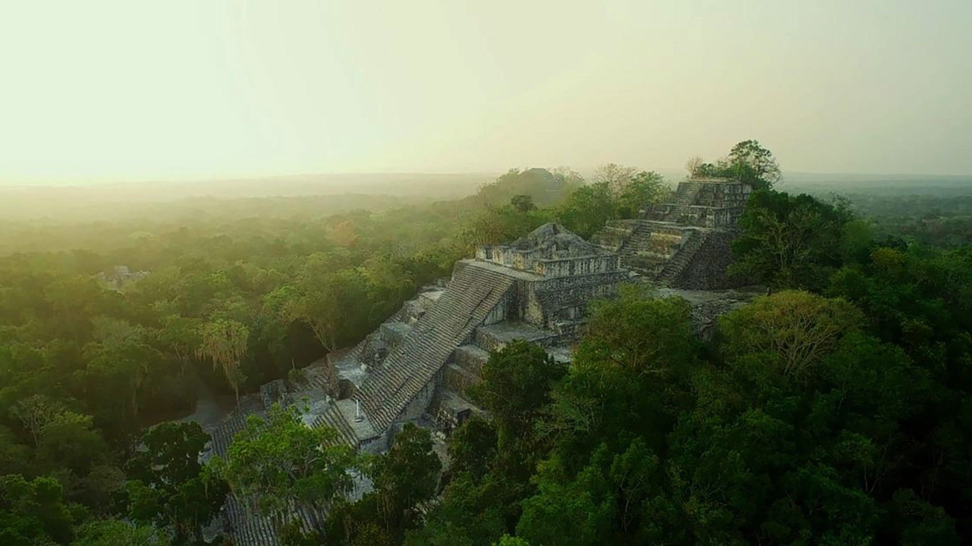 Wild Mexico