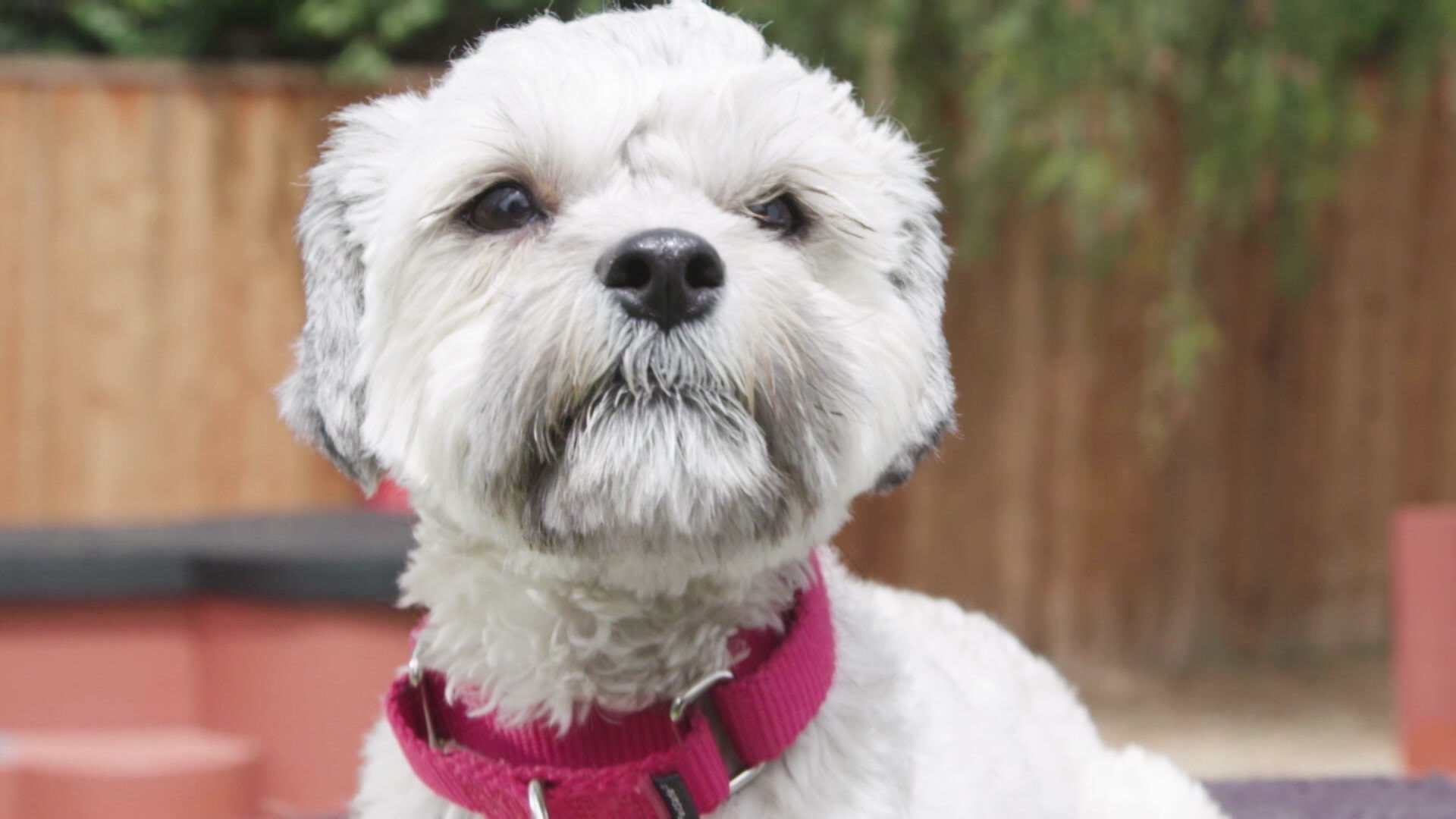 26. Adopter training 101