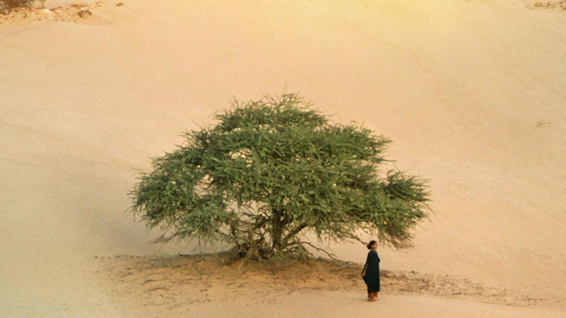 Timbuktu