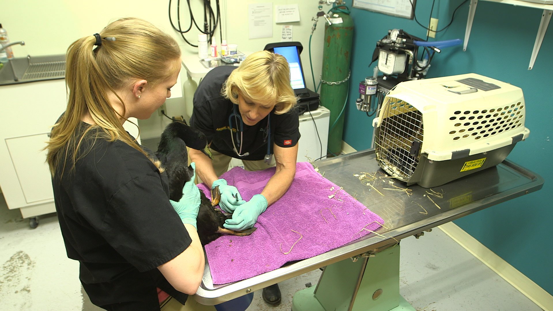 3. Laundromat Surgery