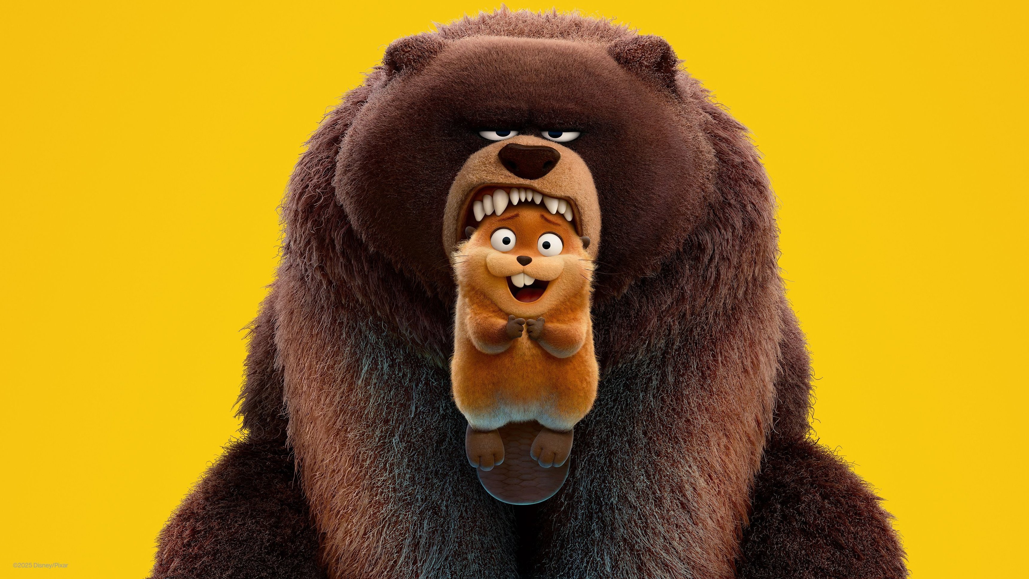 Operation Bäver | A Special Look