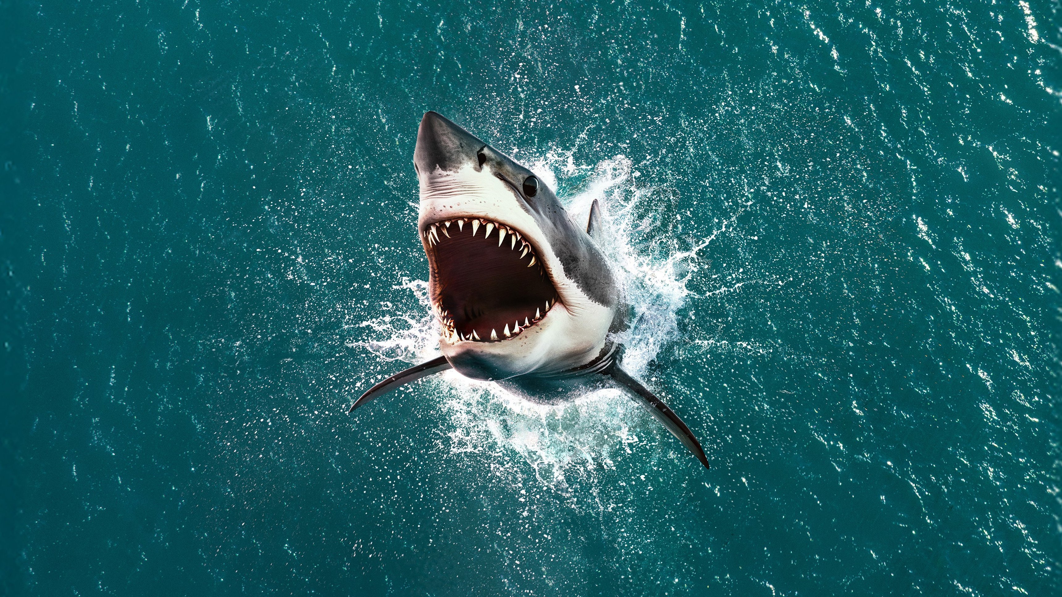 Air Jaws: The Hunt For Colossus