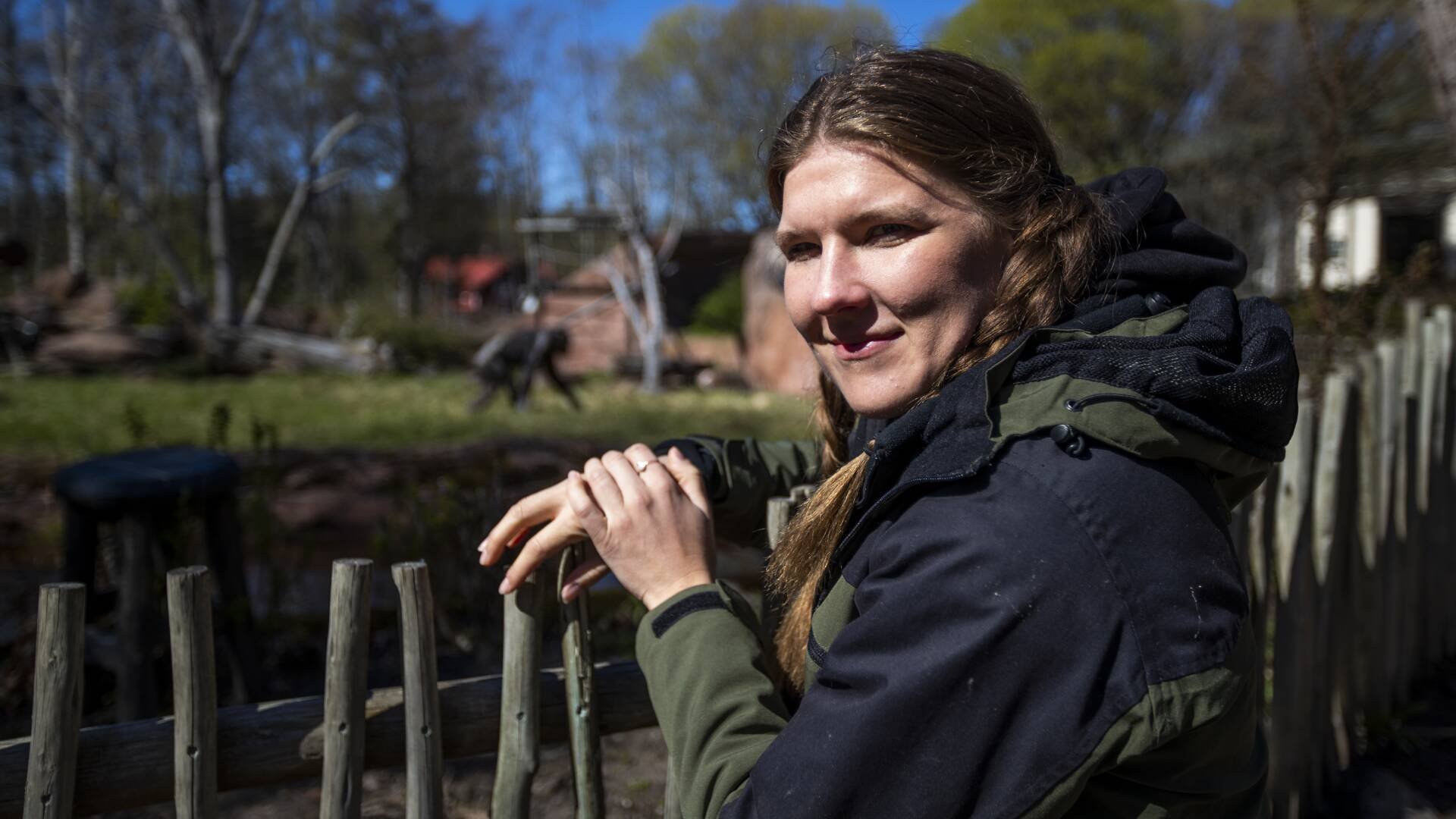 Djurparken | Tele2 Play