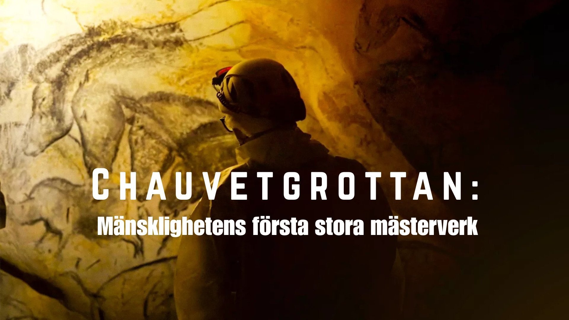Chauvetgrottan: Mänsklighetens första stora mästerverk