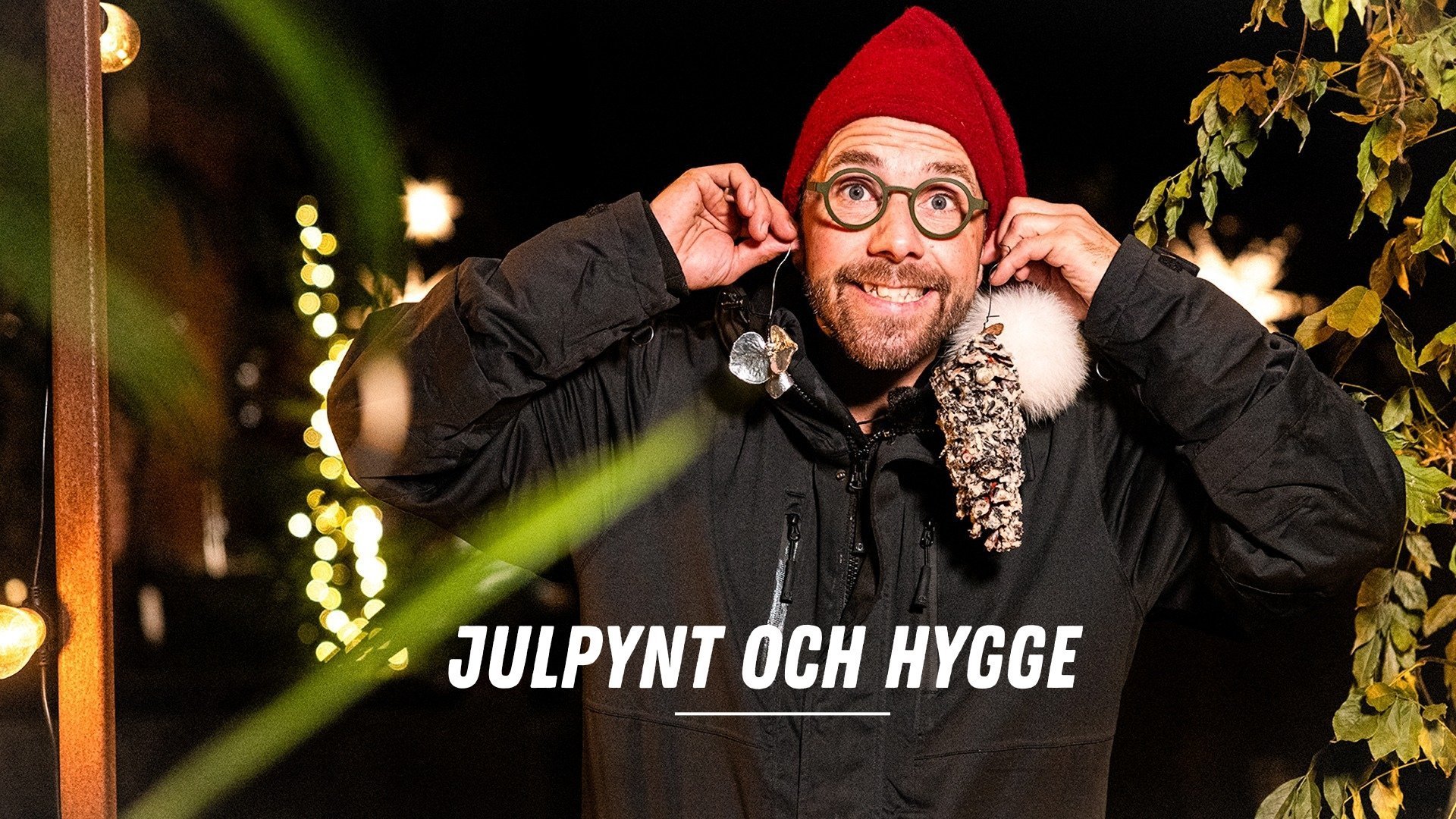 Julpynt och hygge