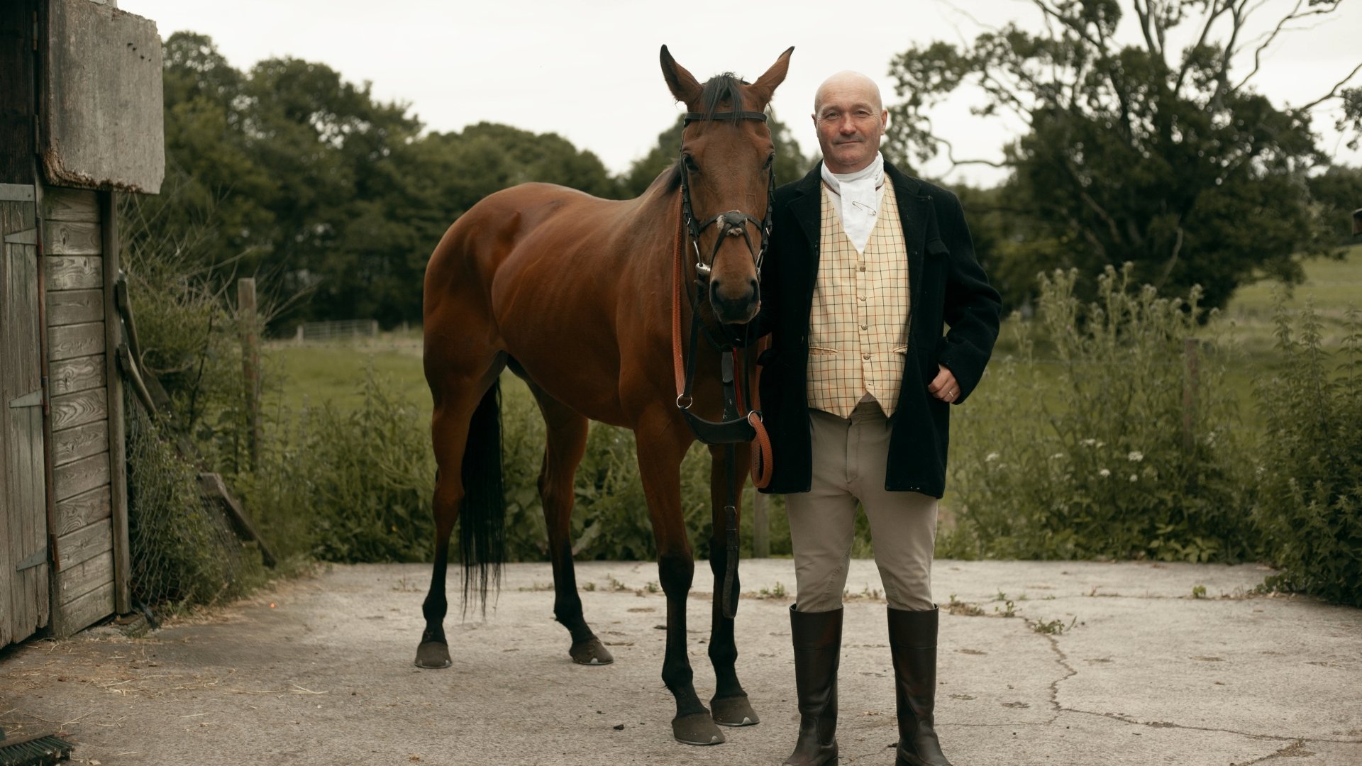 Death of a Showjumper