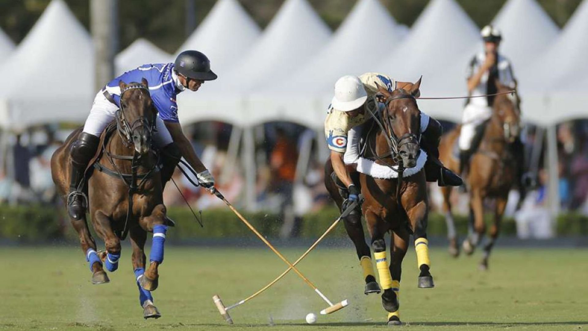 Global Polo Show Presented By U.S. Polo Assn