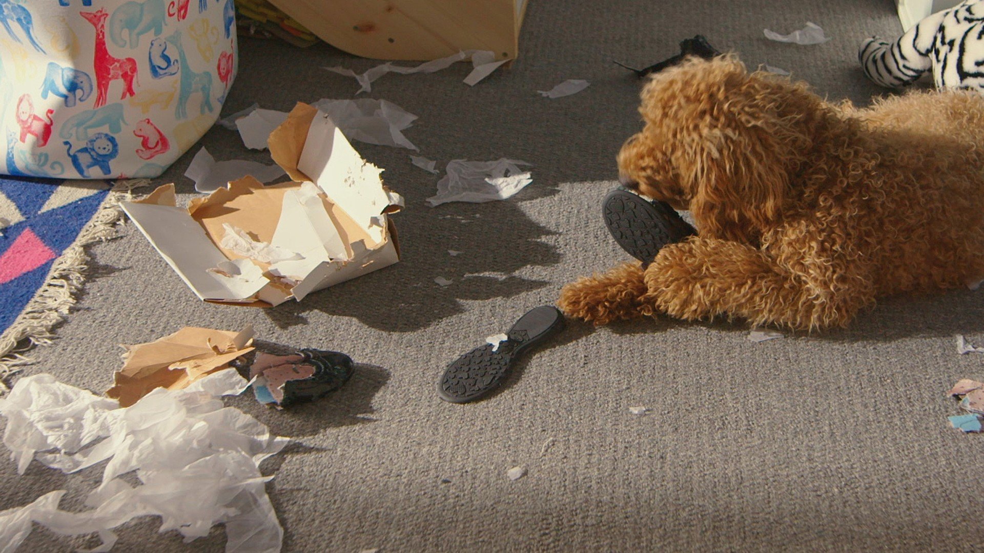 22. Våfflan och läraren