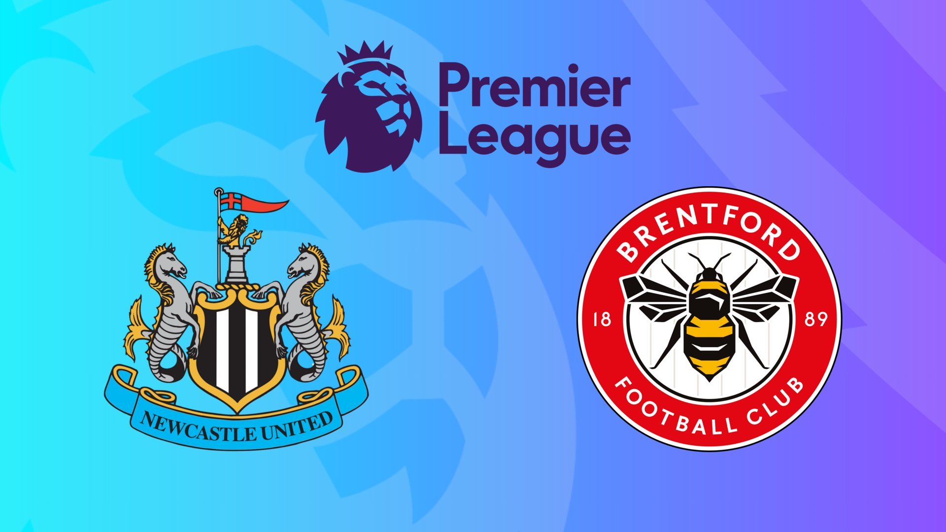 248. Newcastle-Brentford