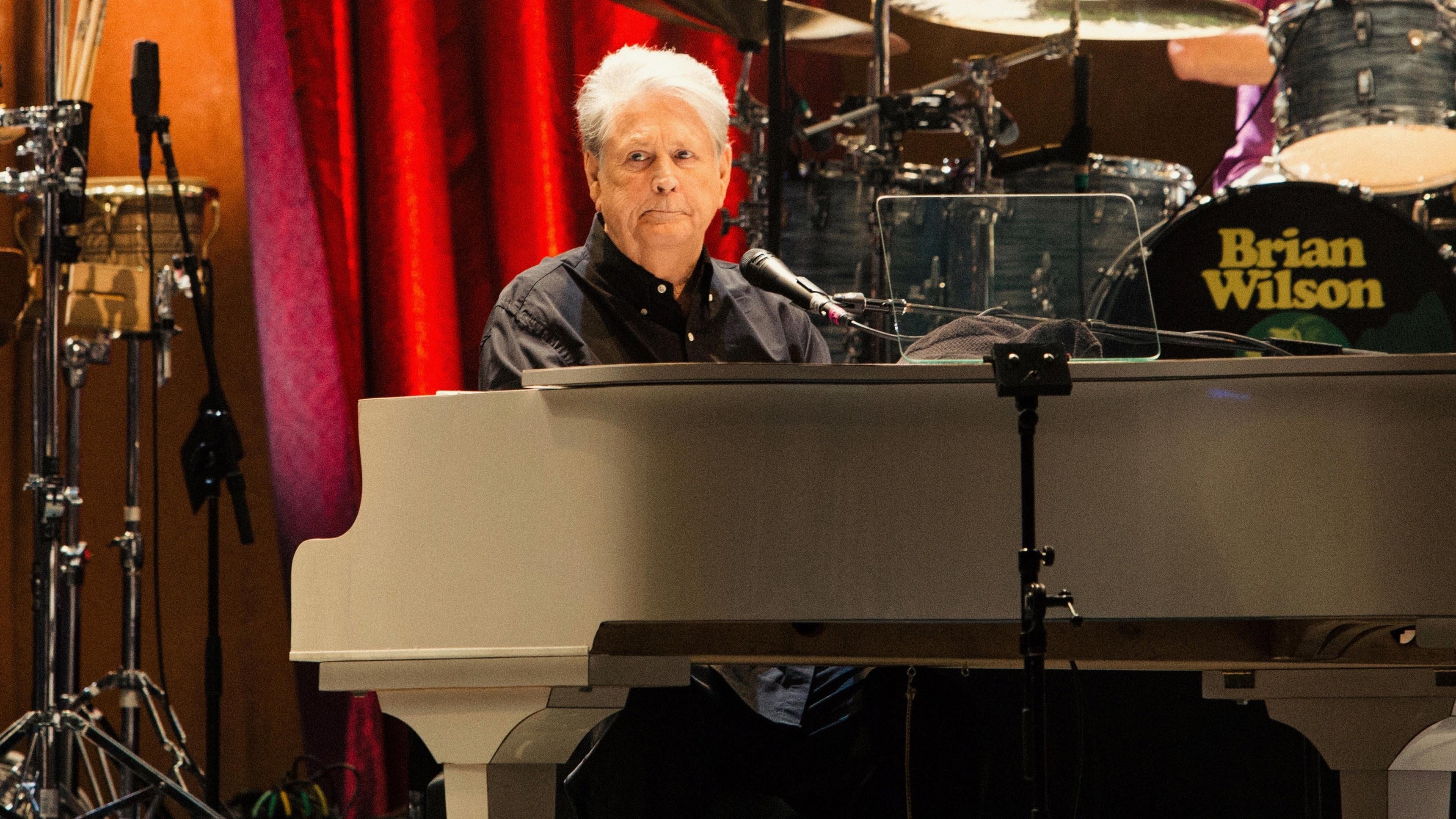 Brian Wilson: Long Promised Road
