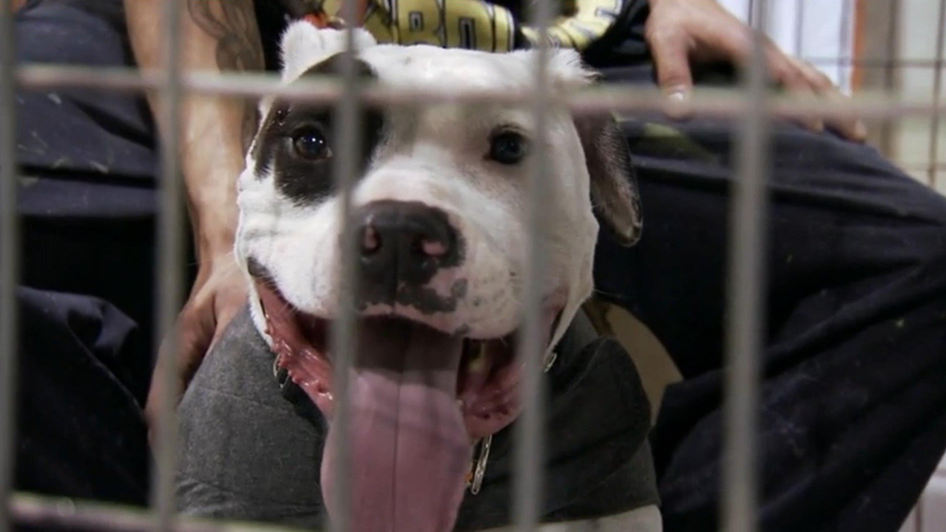 14. Storm on the Horizon