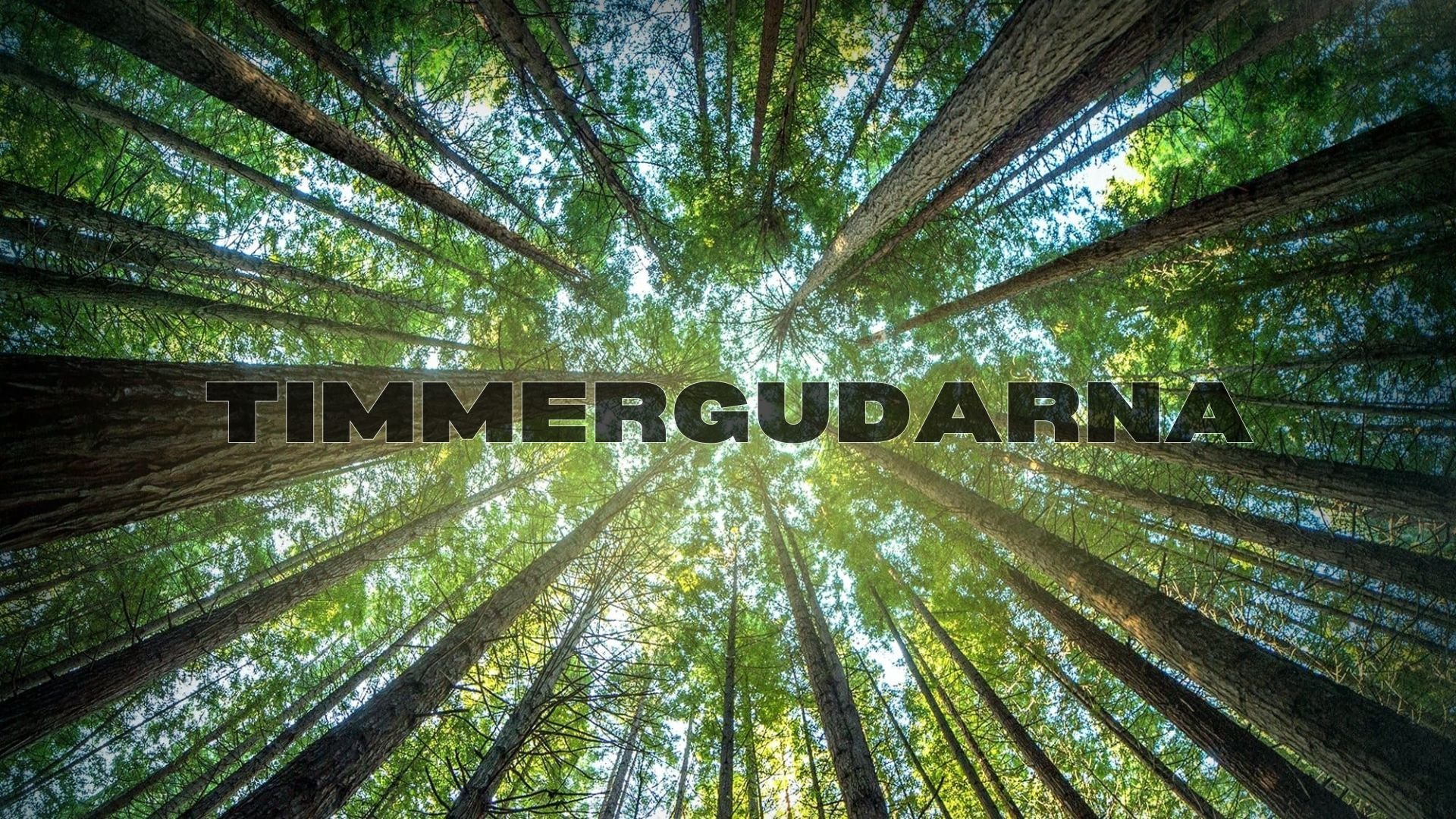Timmergudarna