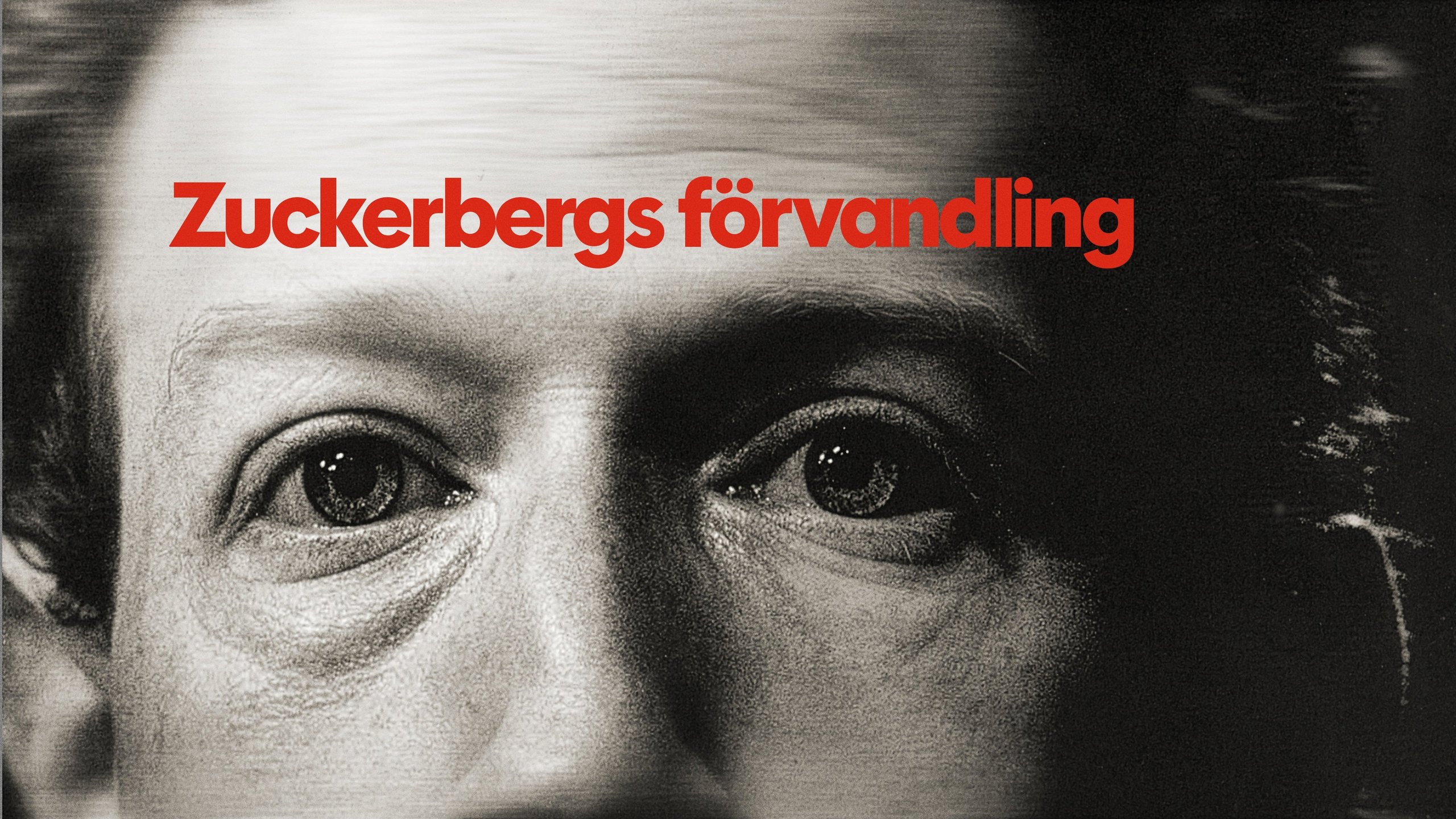 Dokument utifrån: Zuckerbergs förvandling