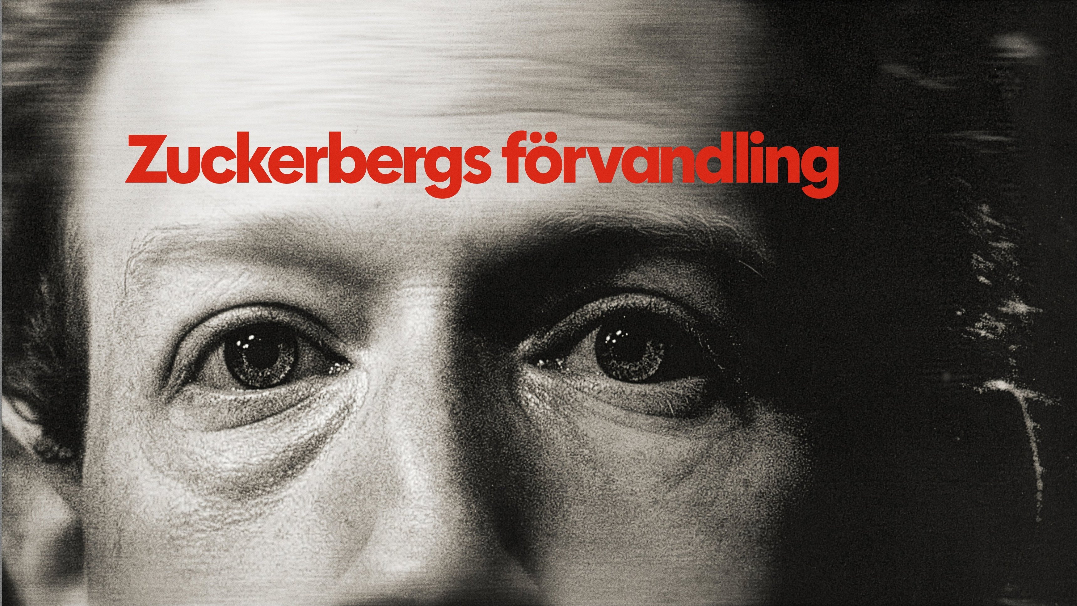 Dokument utifrån: Zuckerbergs förvandling 