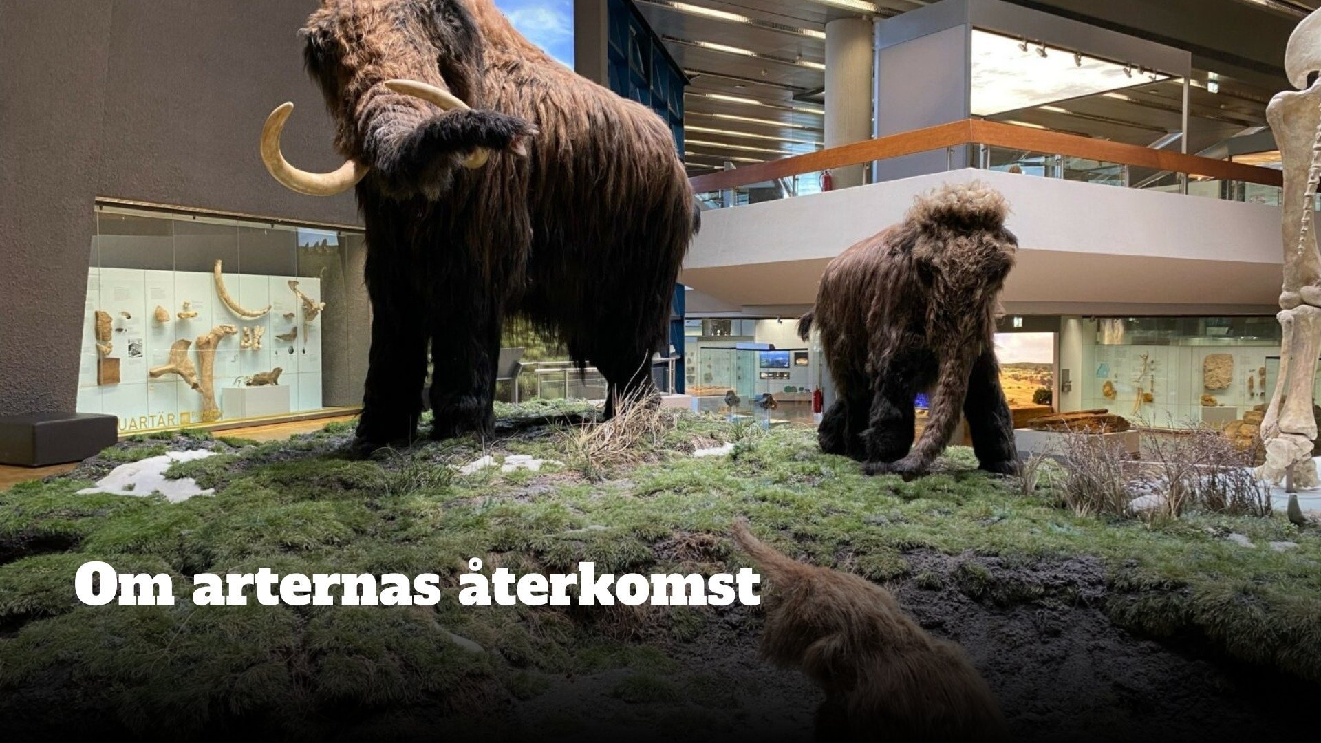 Om arternas återkomst