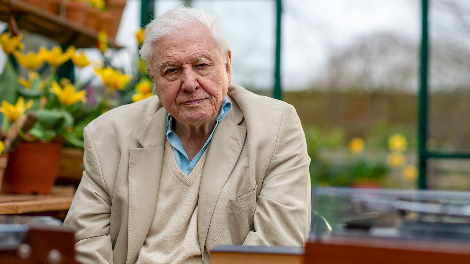 Attenborough och sjungande djur