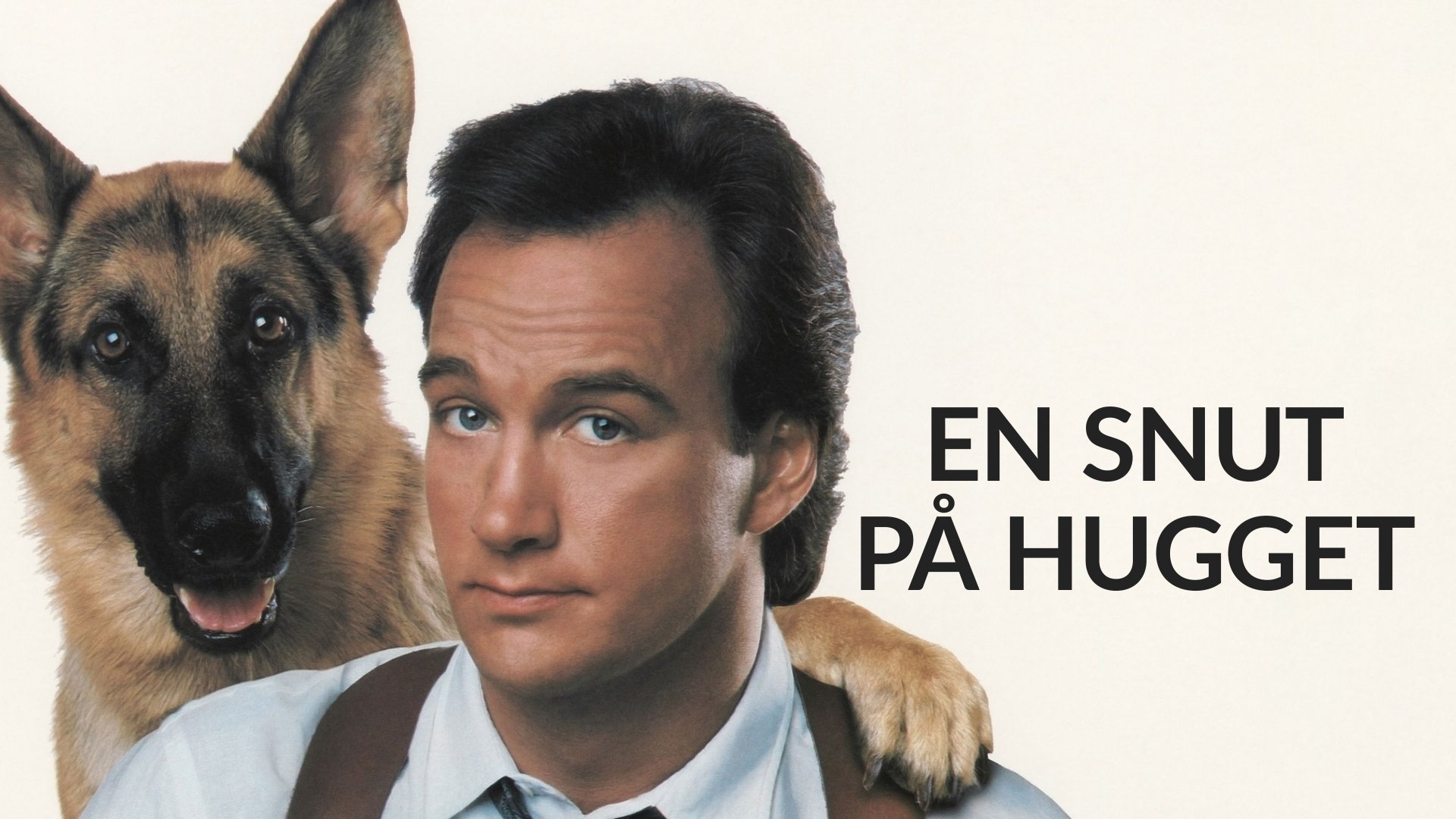 En snut på hugget