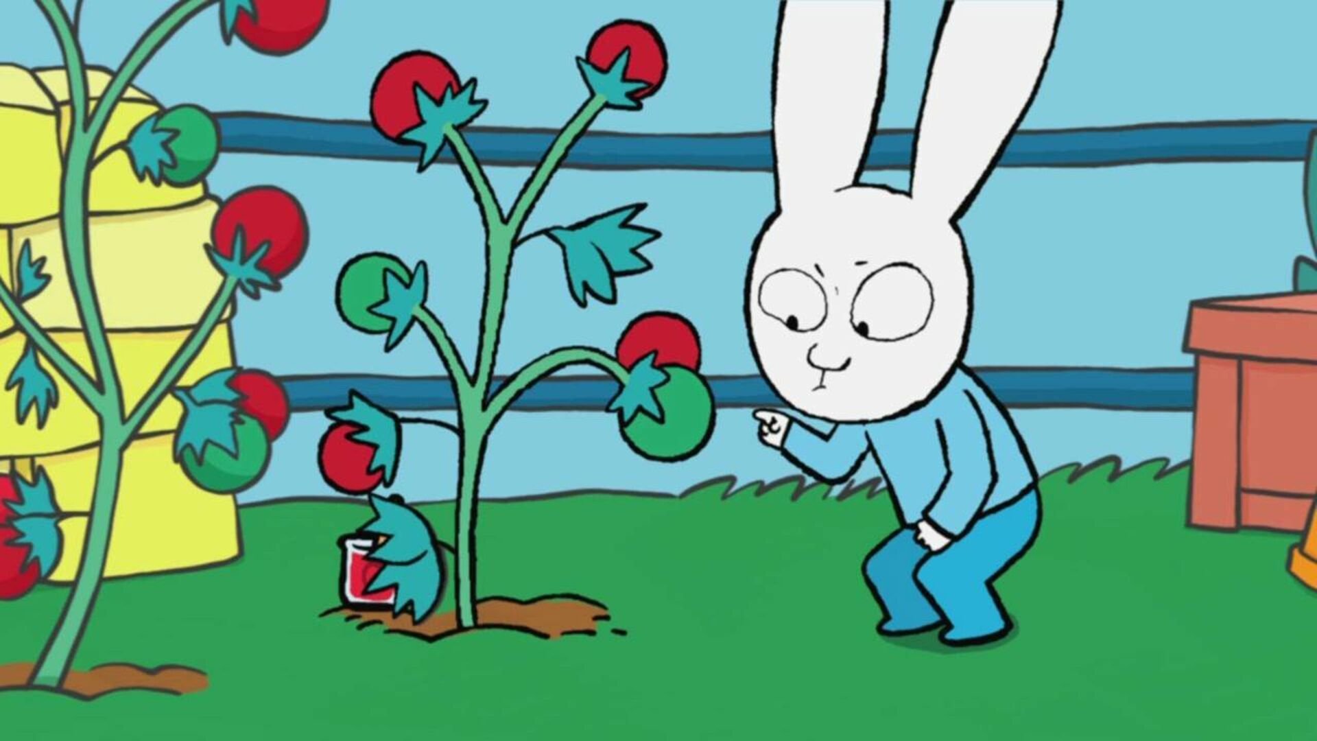 3. Tomaterna