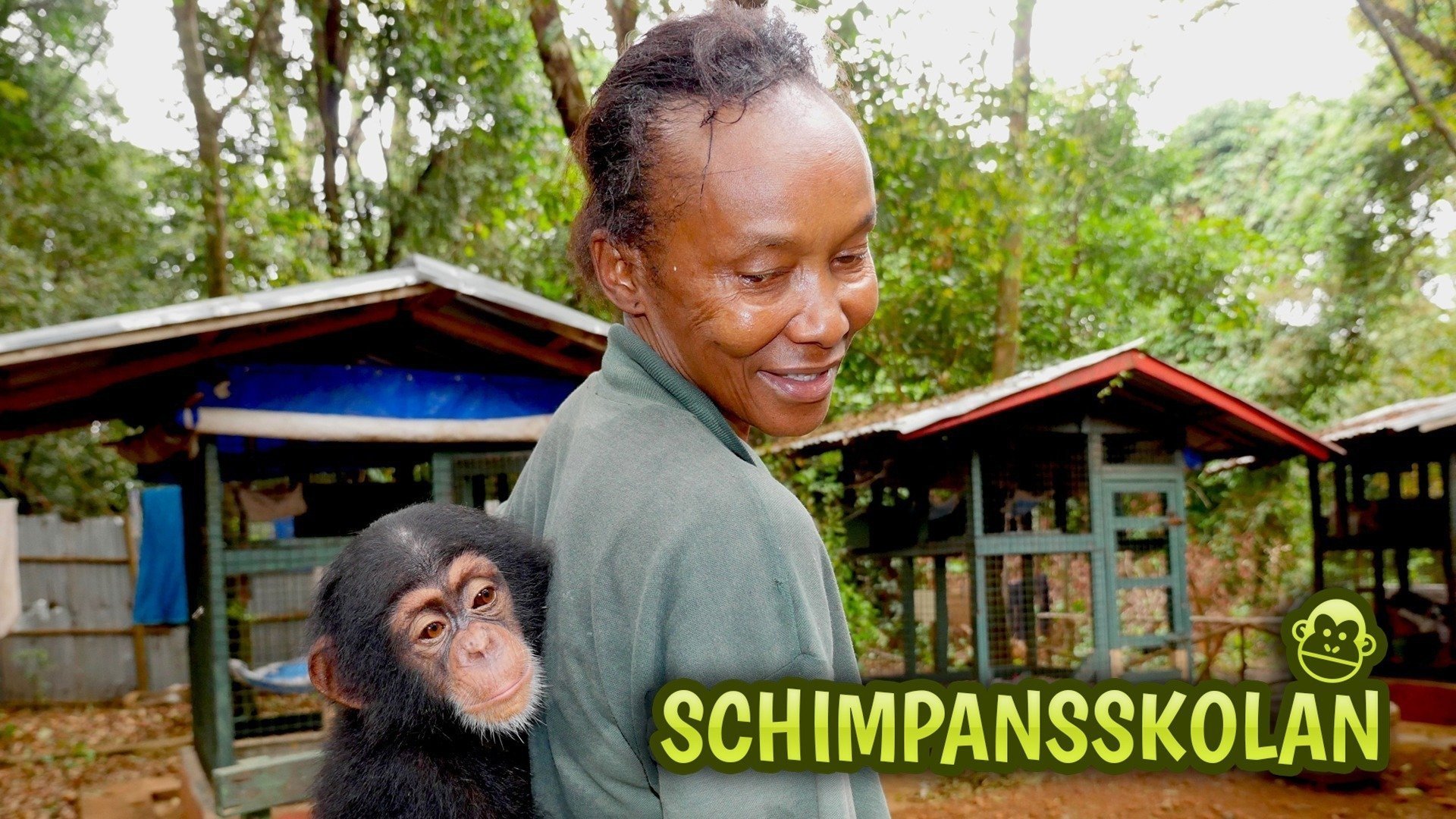 Schimpansskolan