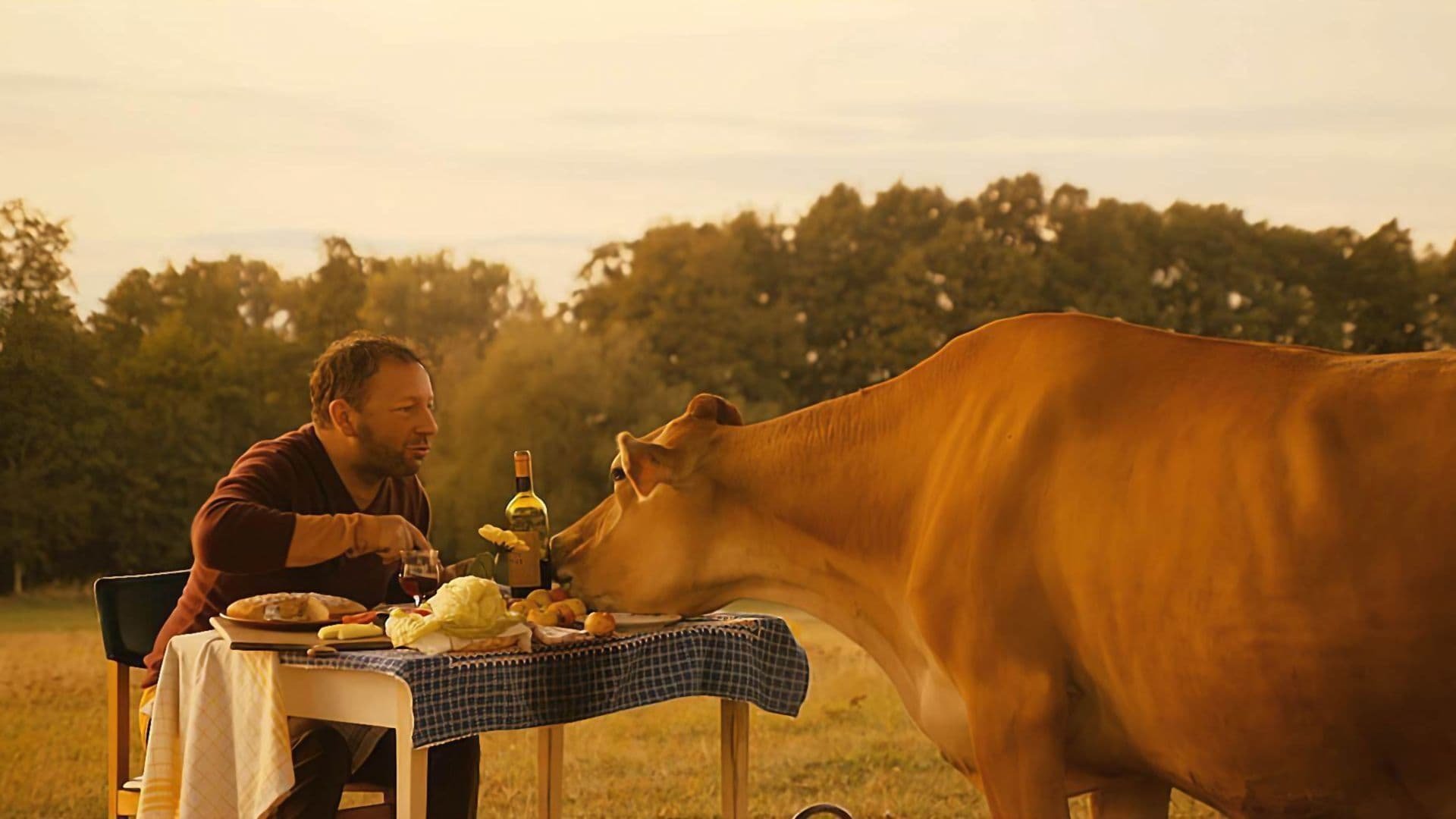 Father, Son Holy Cow