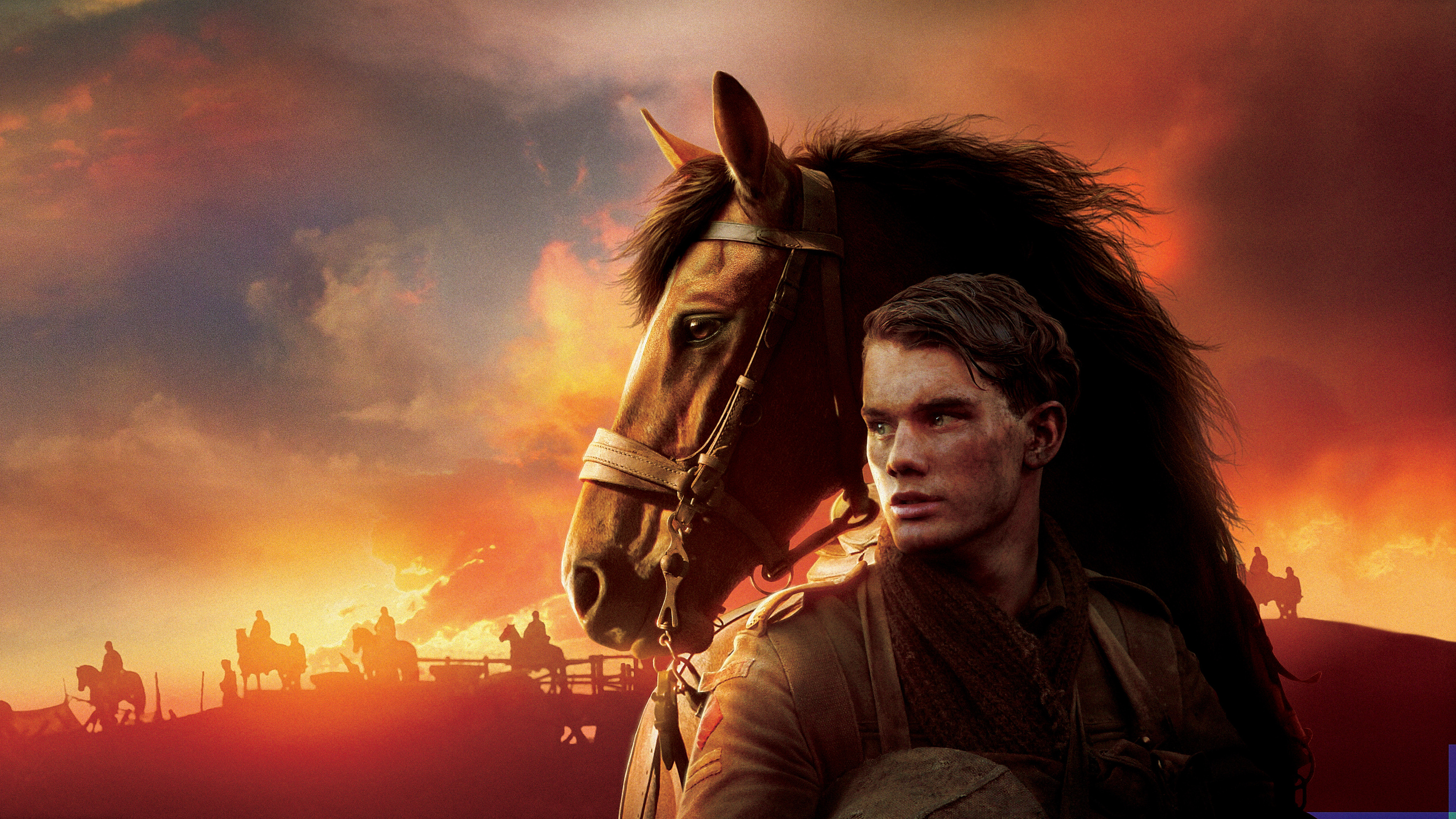 War Horse