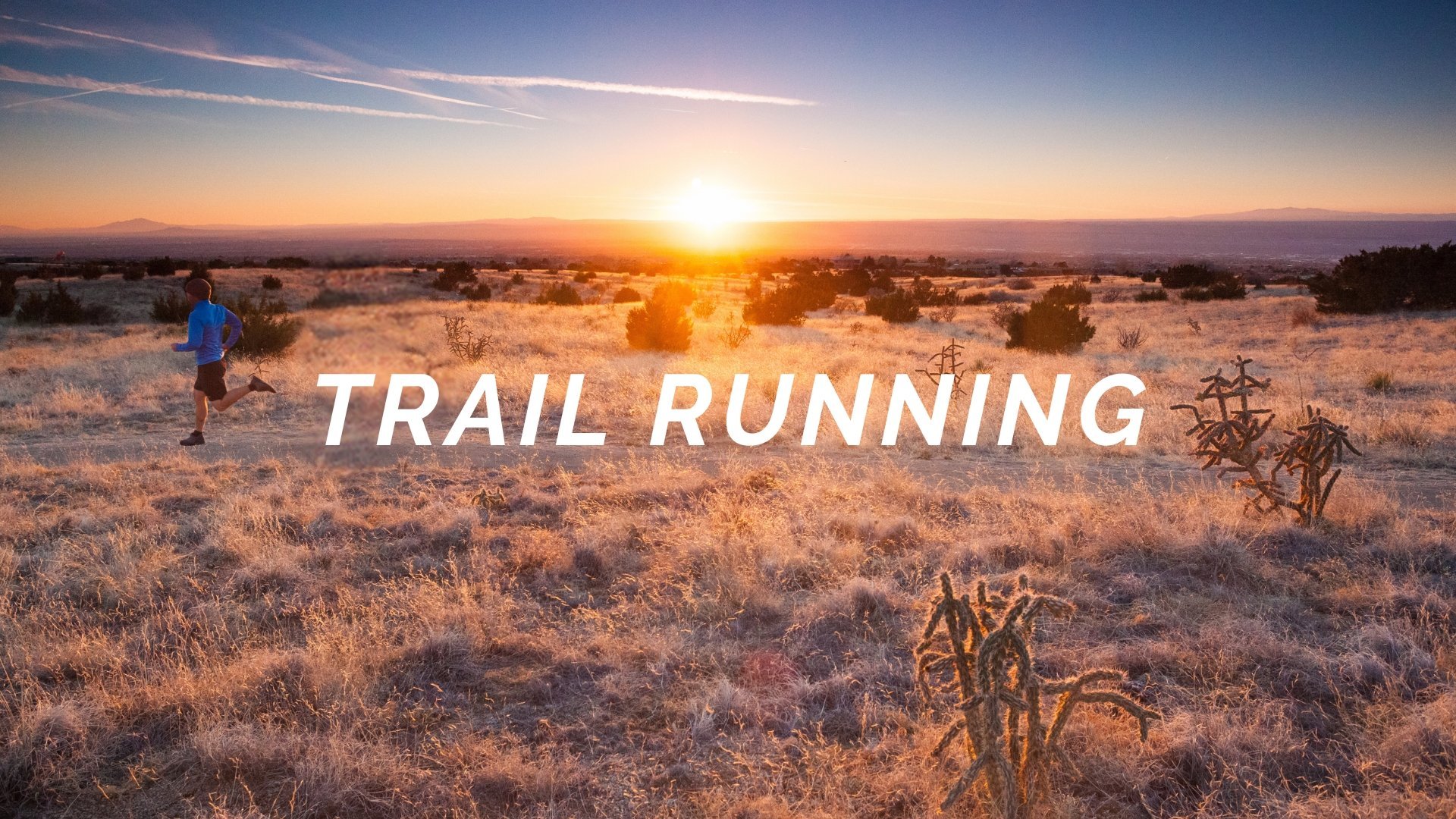 Trail